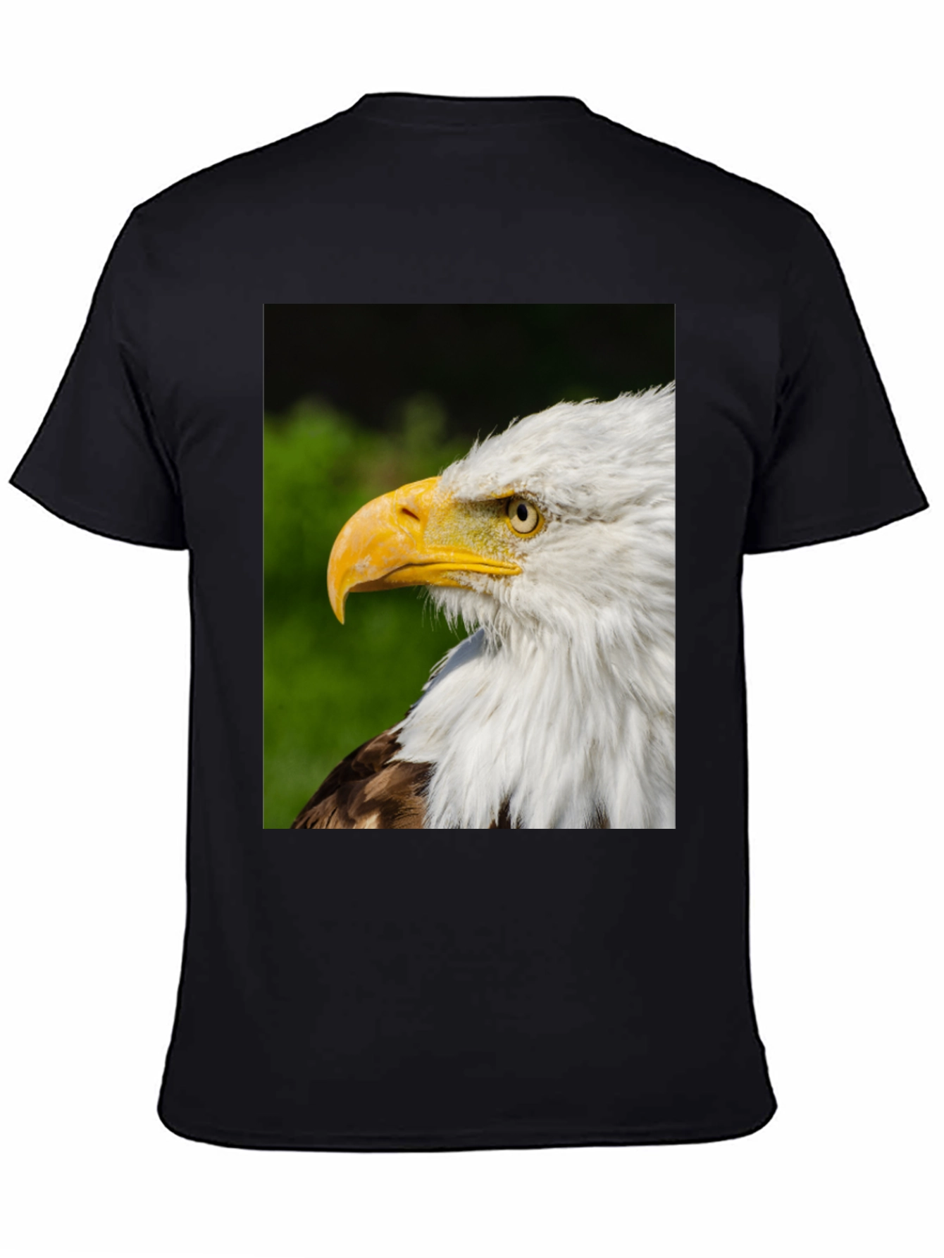 Bald Eagle Graphic Tee - Patriotic Design