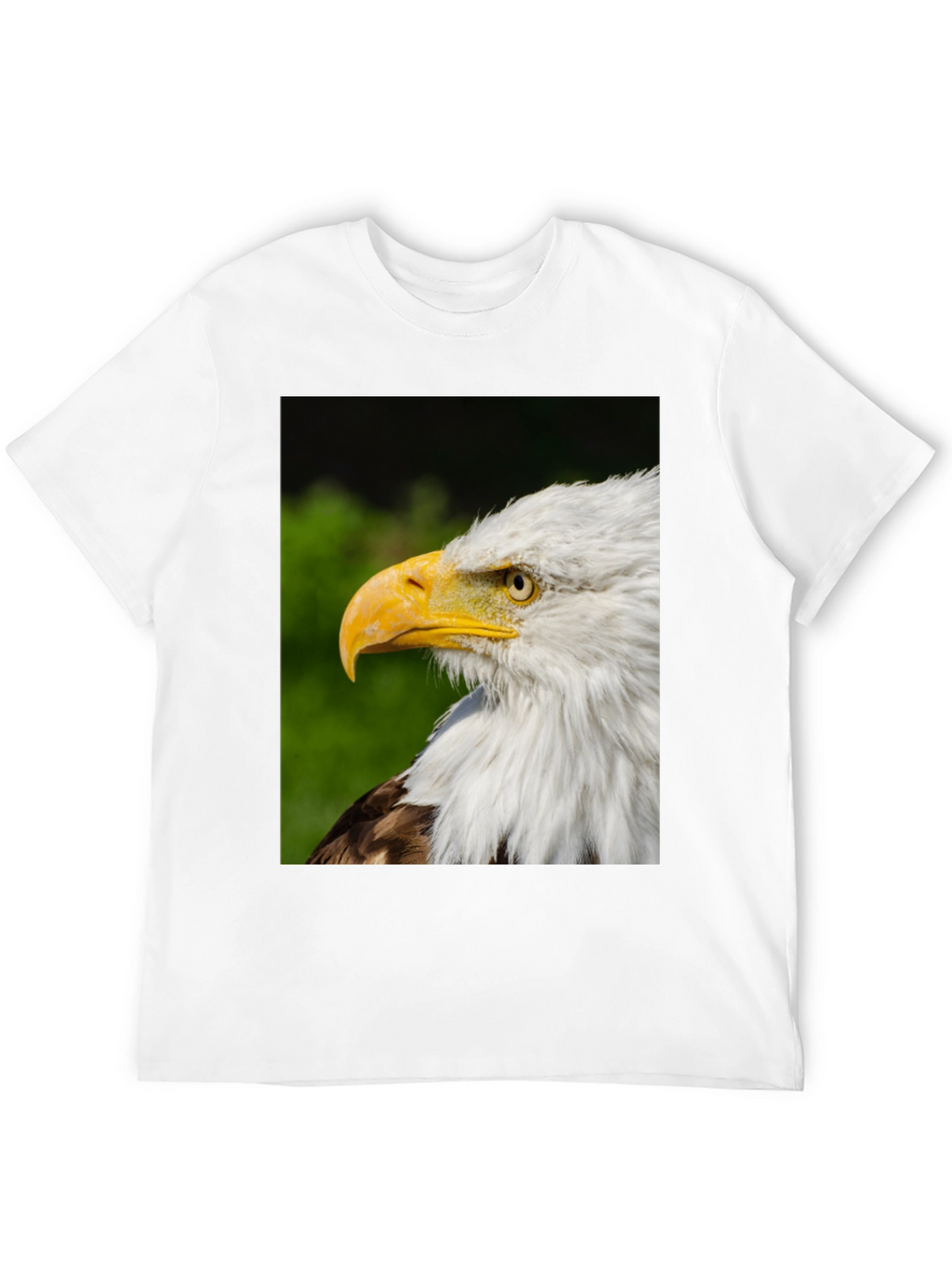 Bald Eagle Graphic Tee - Patriotic Design