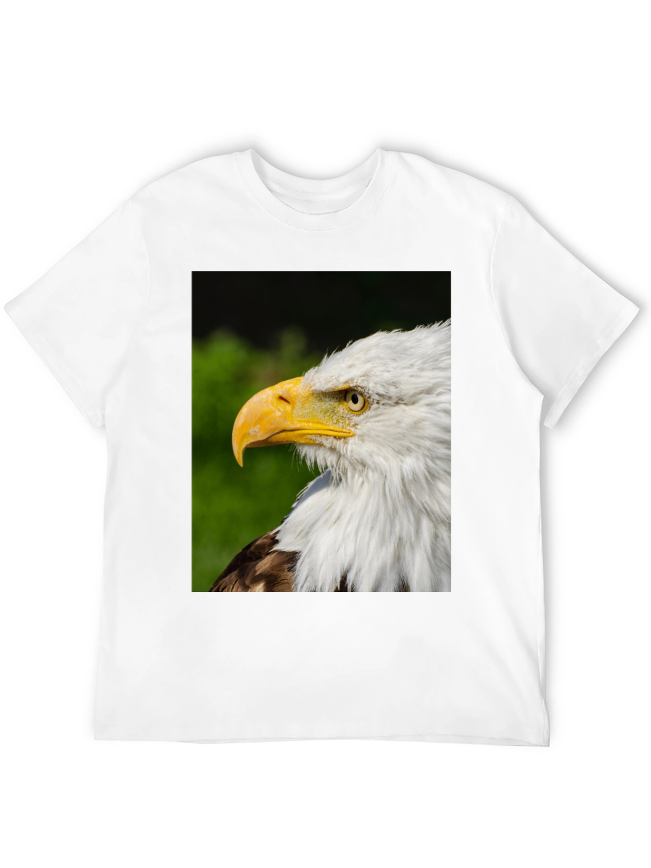 Bald Eagle Graphic Tee - Patriotic Design
