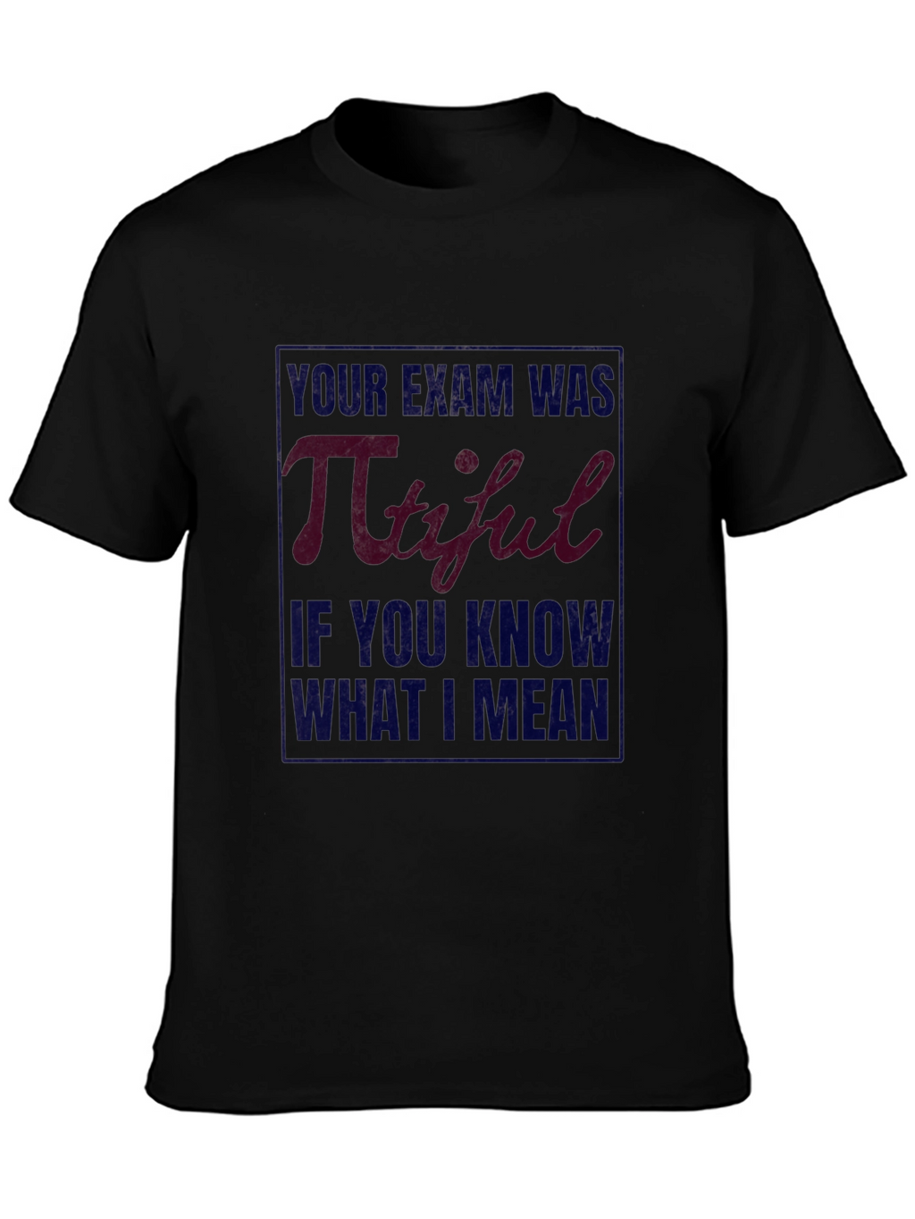 Pi-tiful Exam Pun T-Shirt - Black