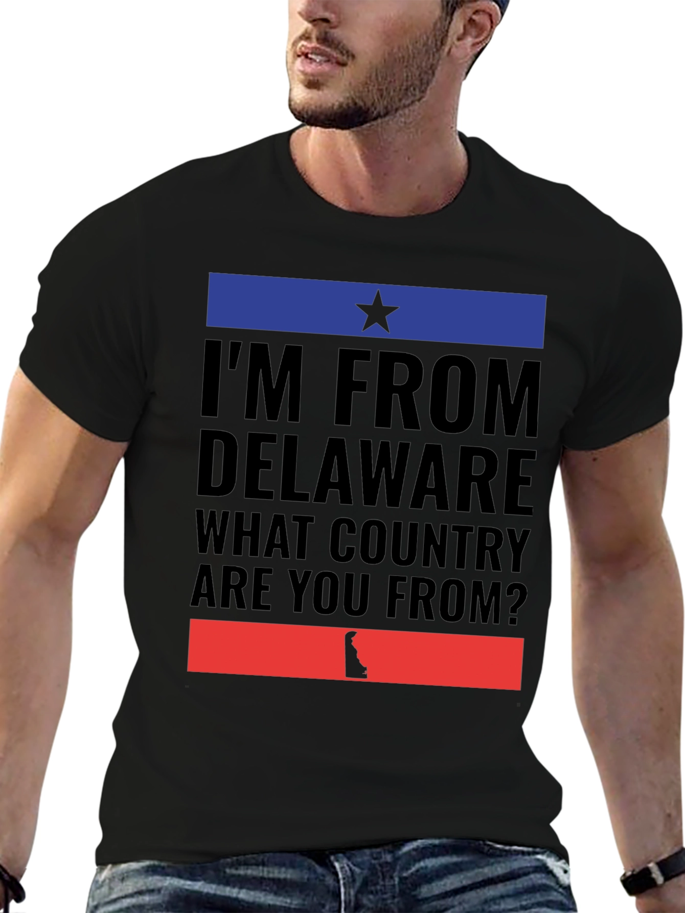 Delaware Pride T-Shirt - What Country Are You From?