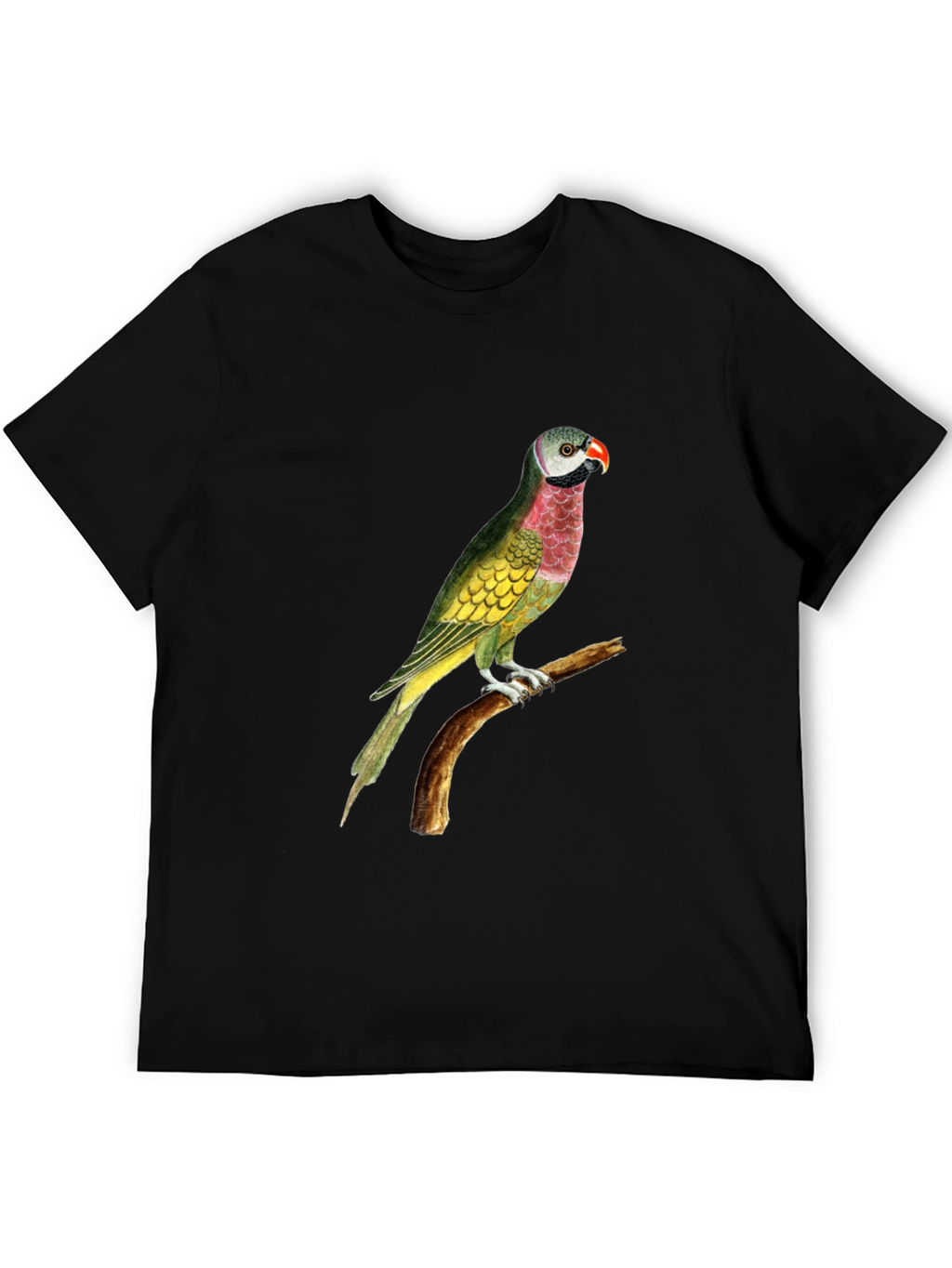 Parrot Graphic Print Black T-Shirt