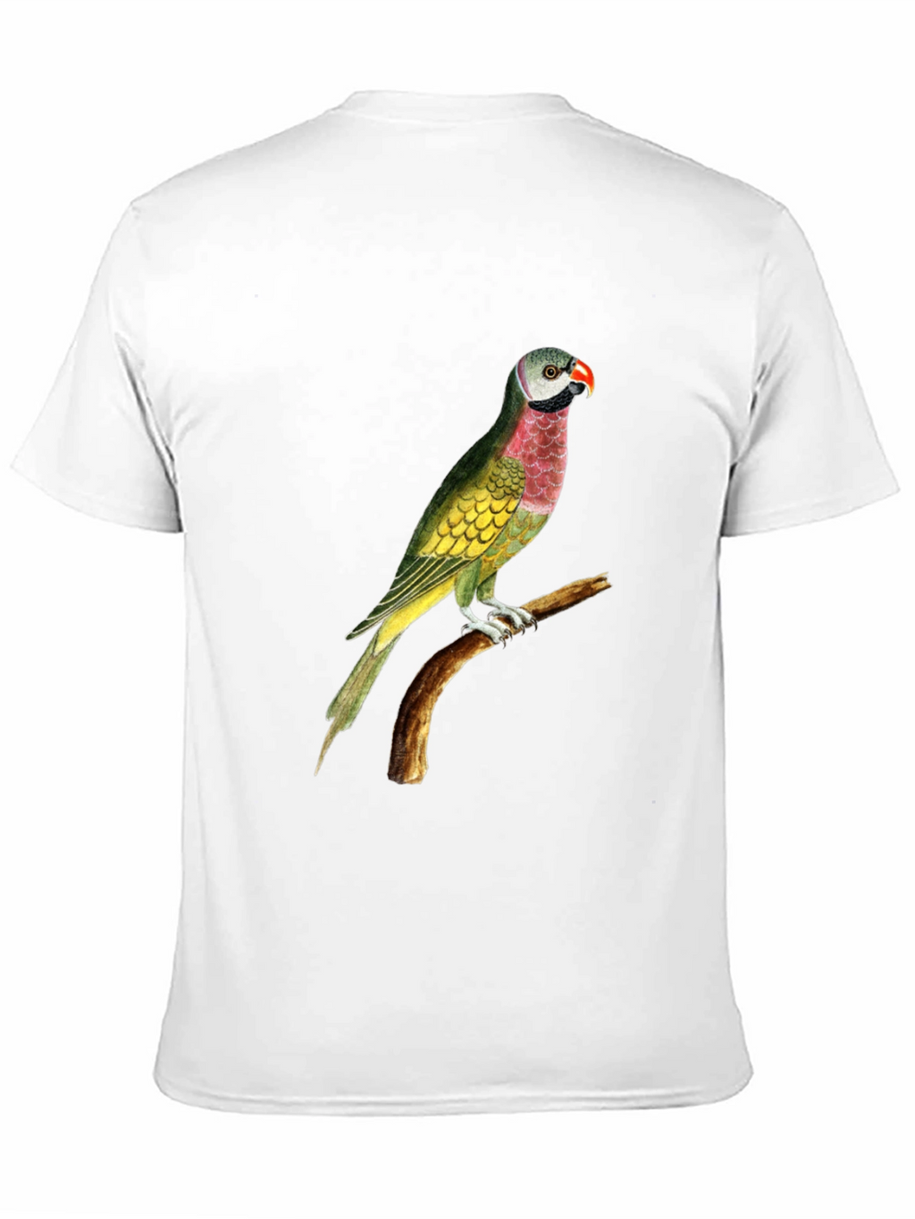 Parrot Graphic Print Black T-Shirt
