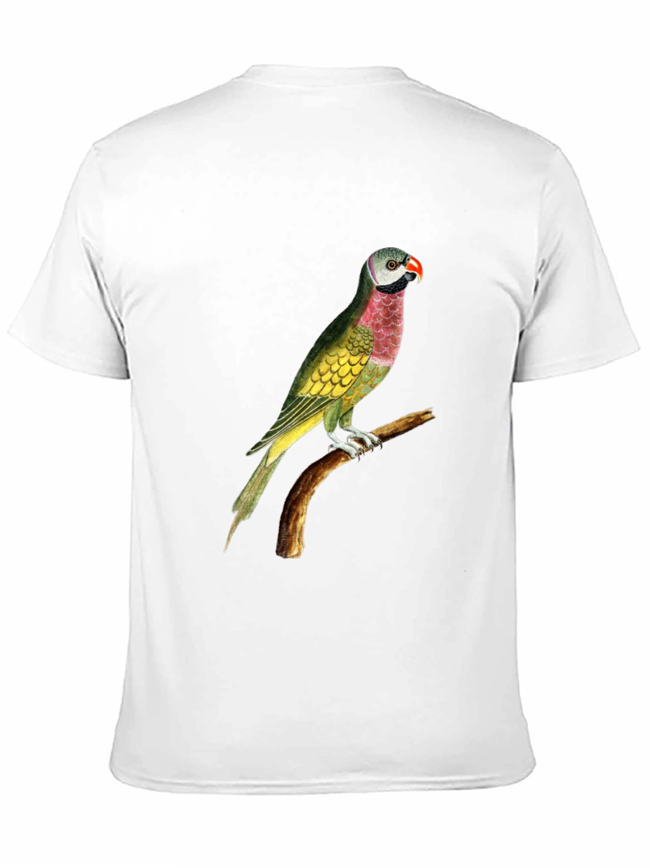 Parrot Graphic Print Black T-Shirt