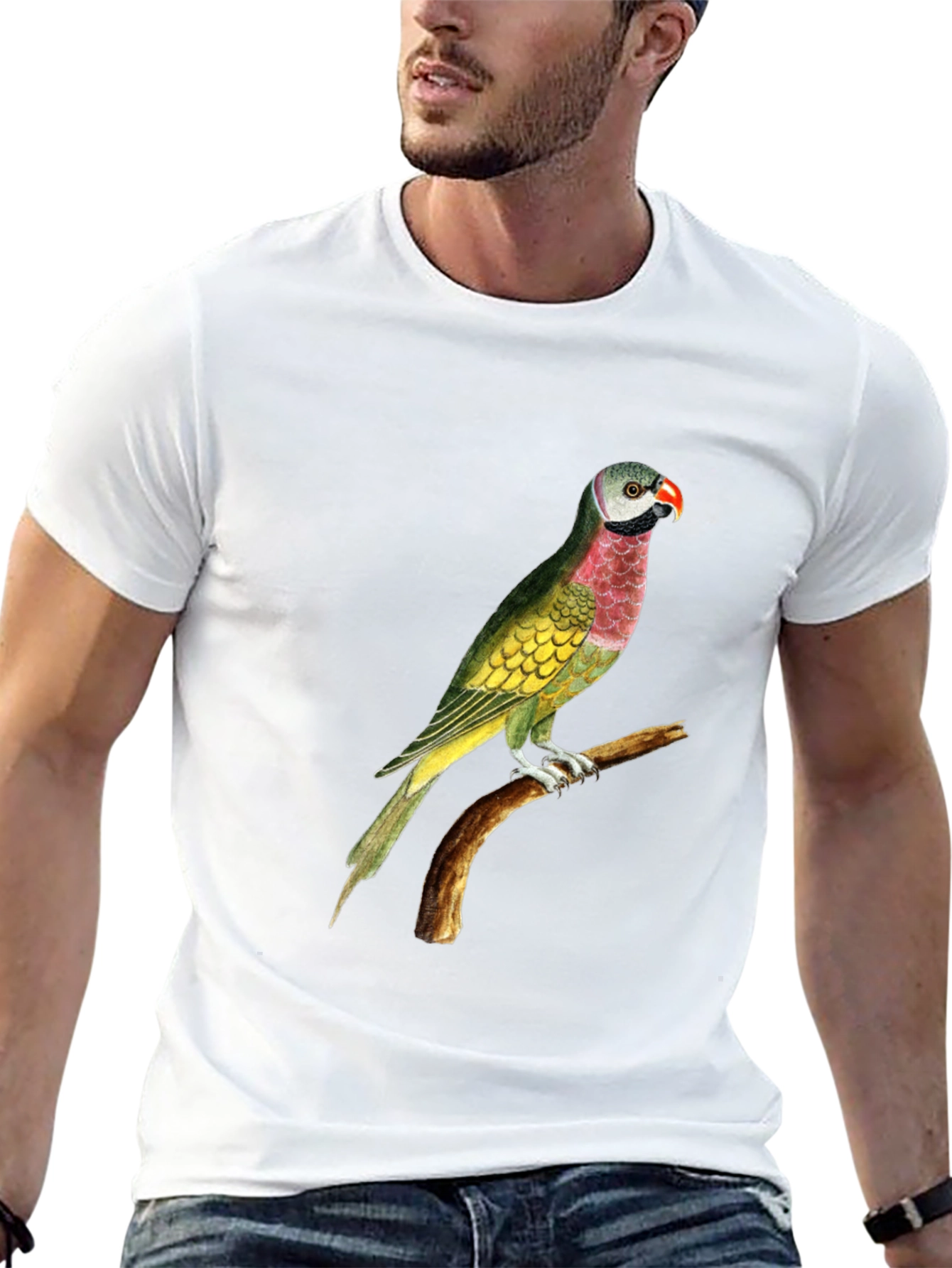 Parrot Graphic Print Black T-Shirt