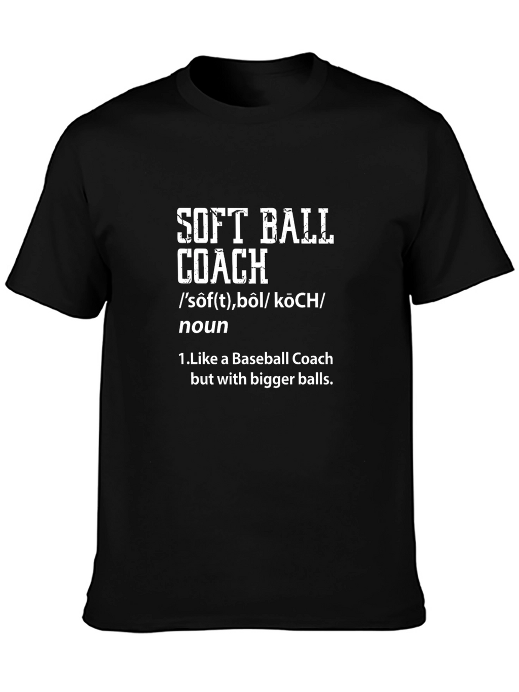 Softball Coach Definition T-Shirt