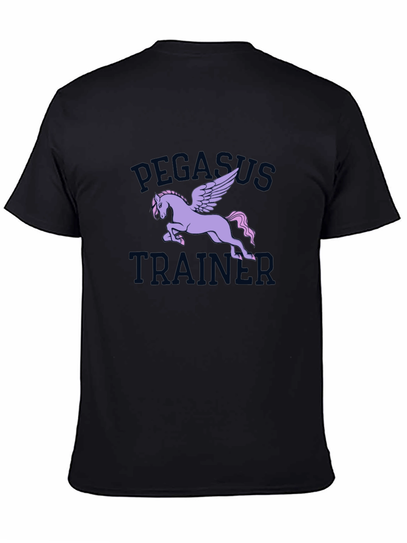 Pegasus Trainer Graphic Tee