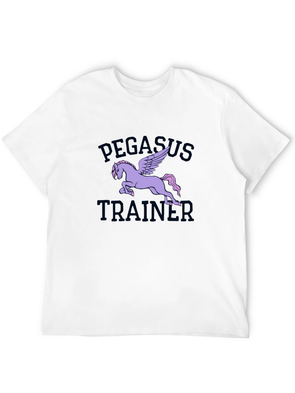 Pegasus Trainer Graphic Tee