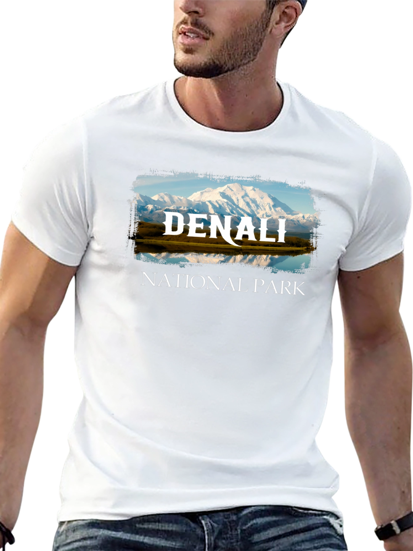 Denali National Park Black T-Shirt