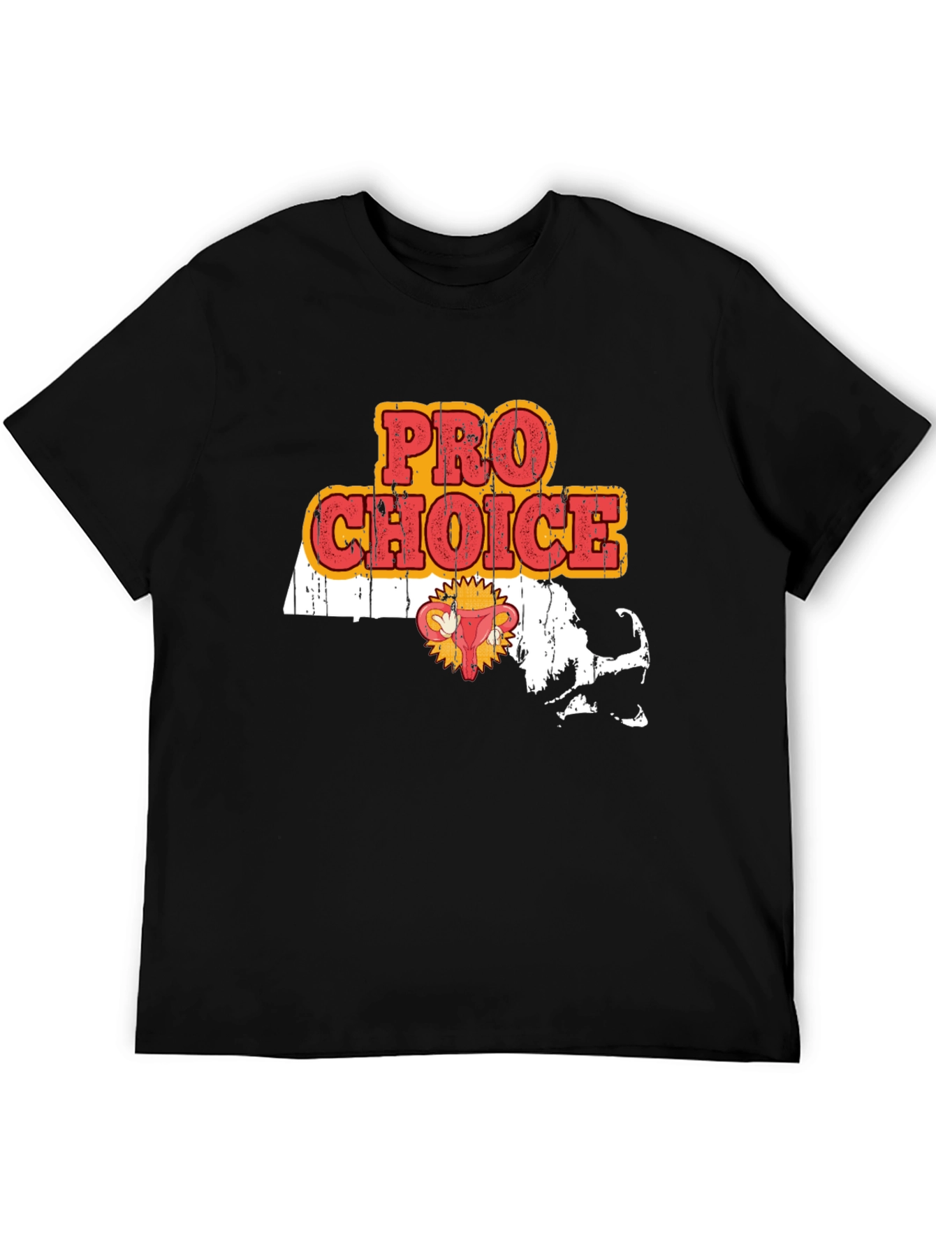 Pro Choice Massachusetts T-Shirt