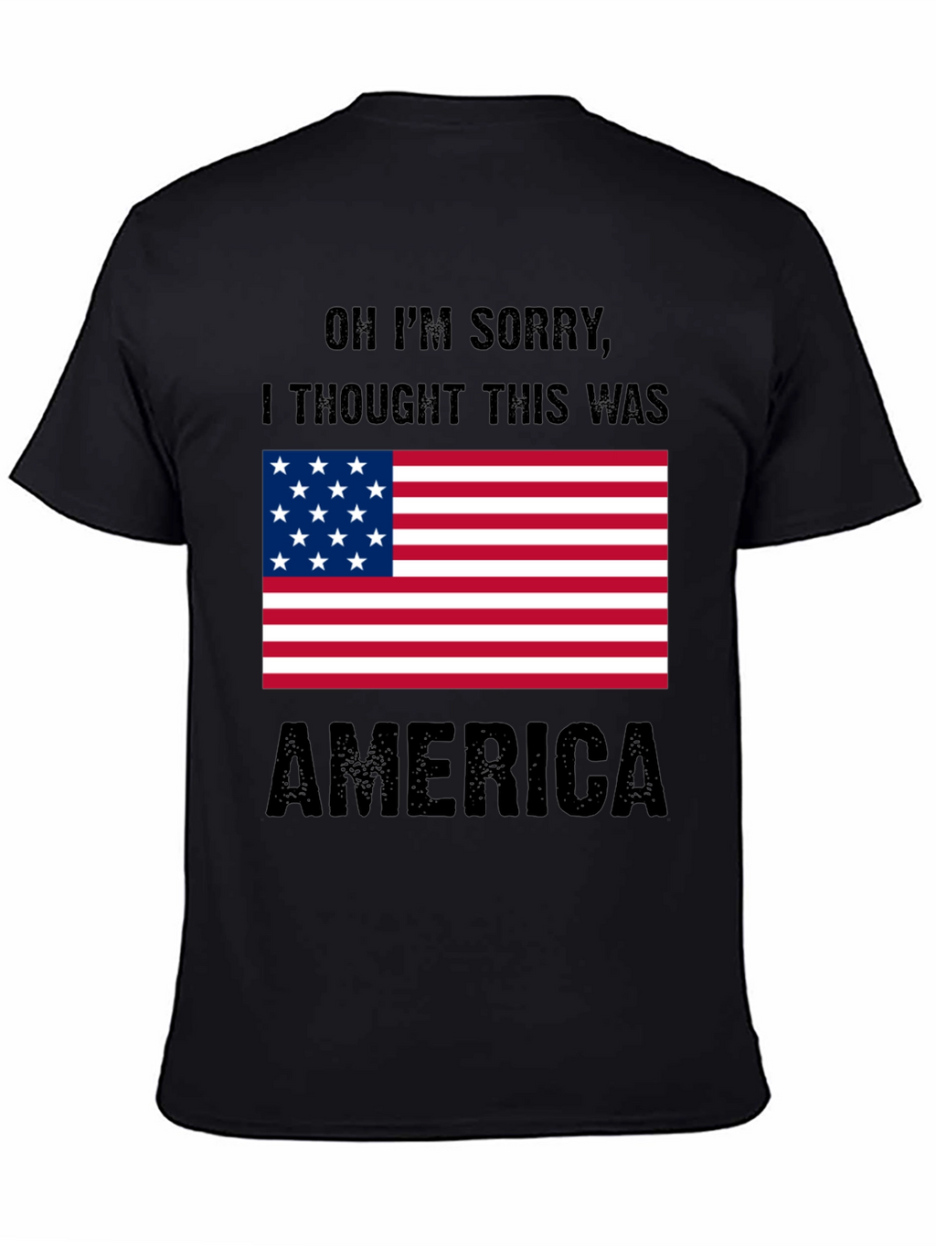 Funny America Graphic T-Shirt Patriotic Tee