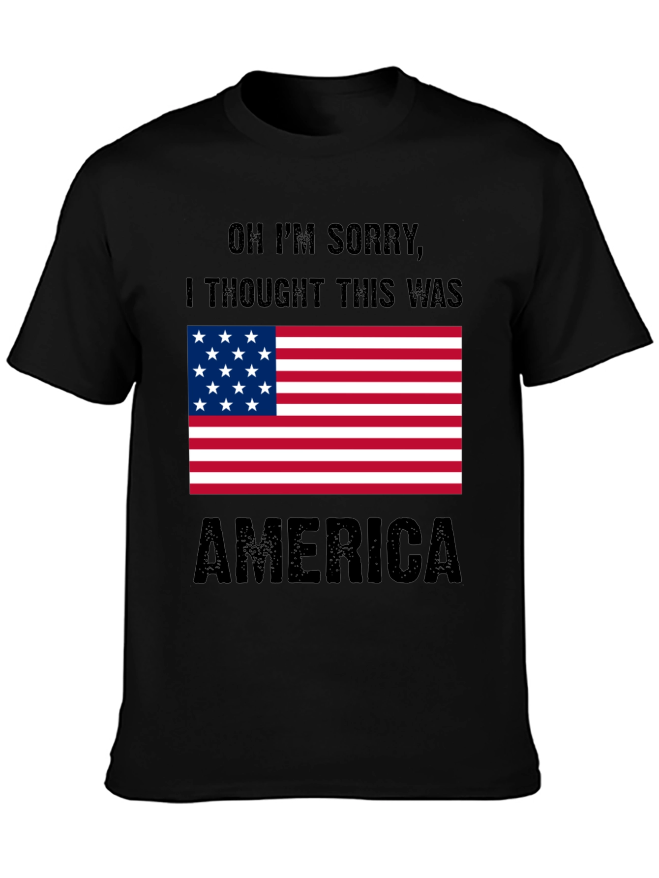 Funny America Graphic T-Shirt Patriotic Tee