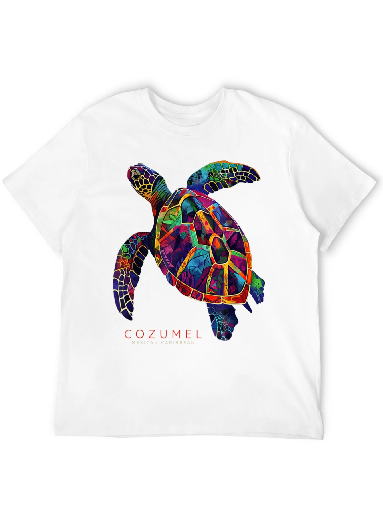 Cozumel Sea Turtle Graphic Tee - Mens Black T-Shirt