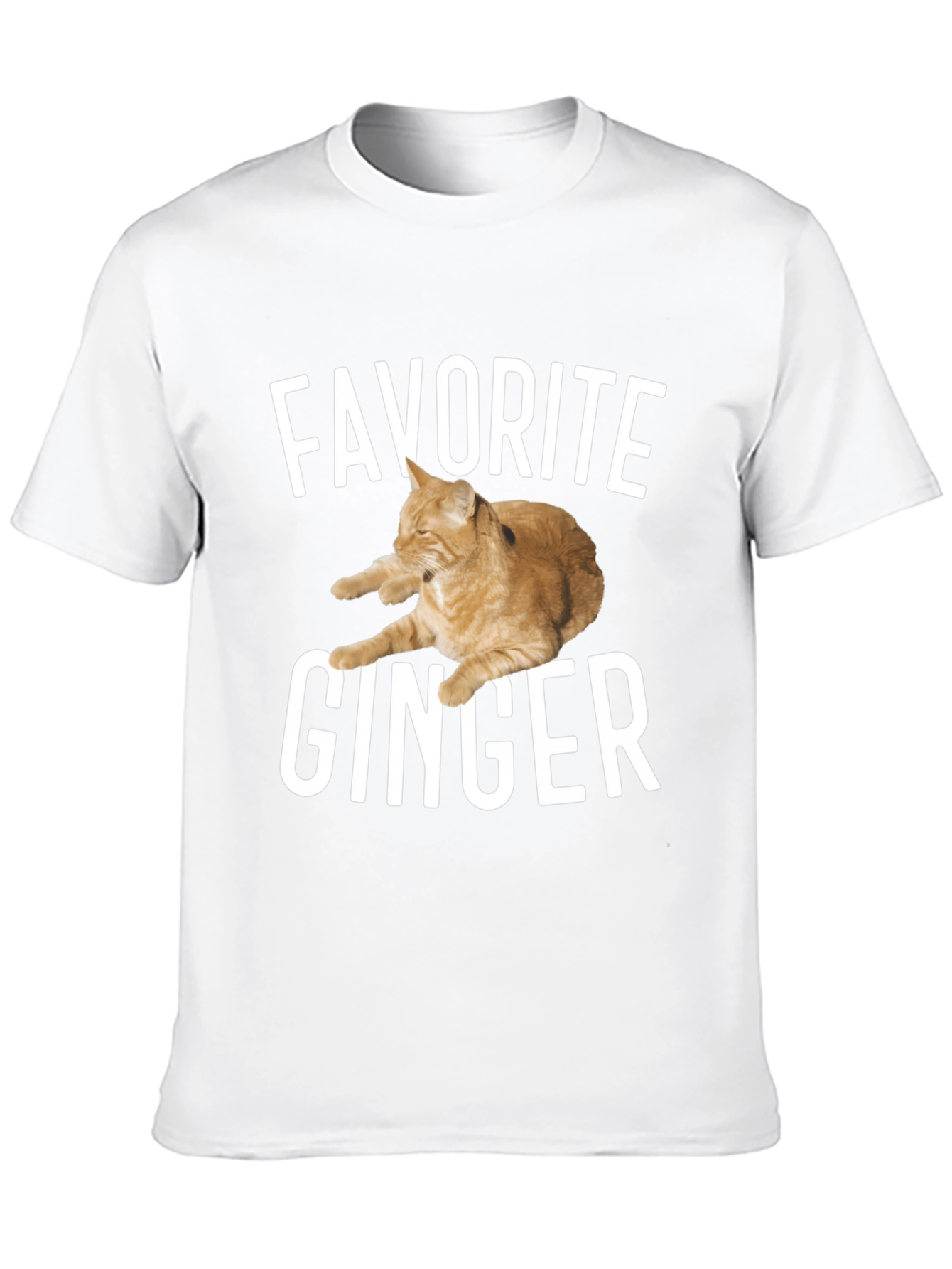 Favorite Ginger Cat Black T-Shirt