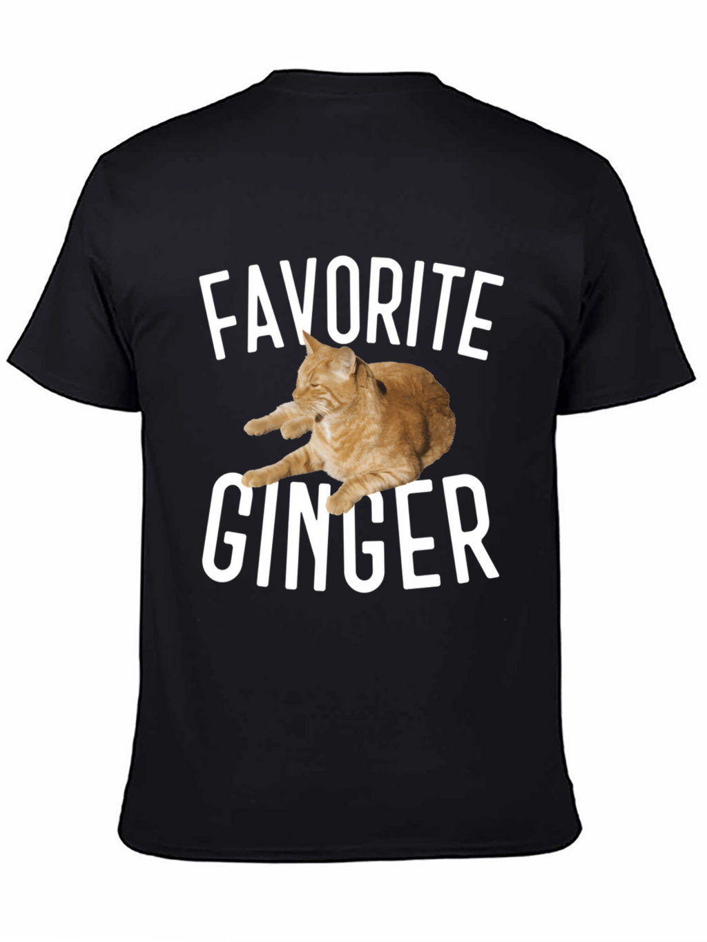 Favorite Ginger Cat Black T-Shirt