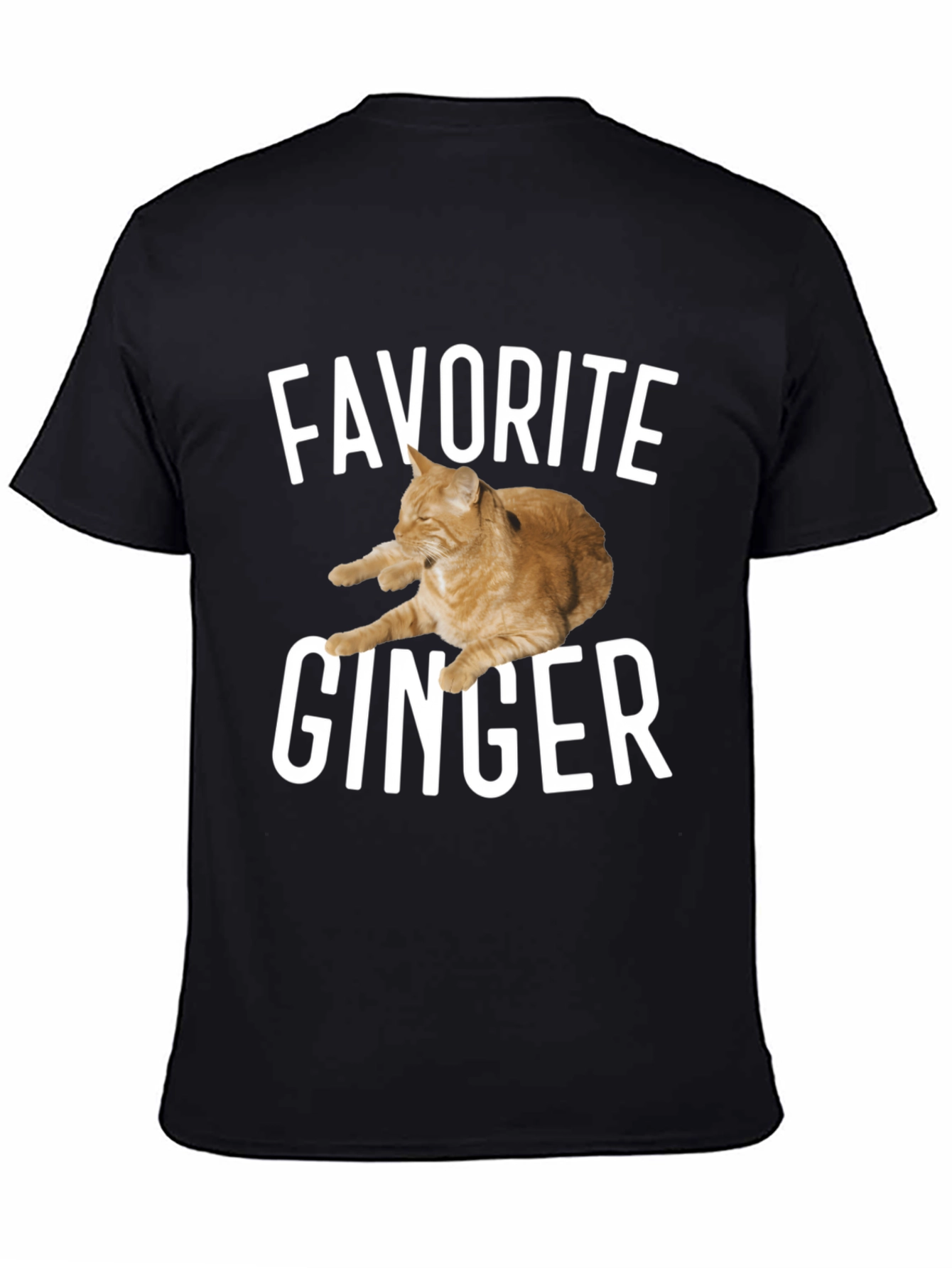 Favorite Ginger Cat Black T-Shirt