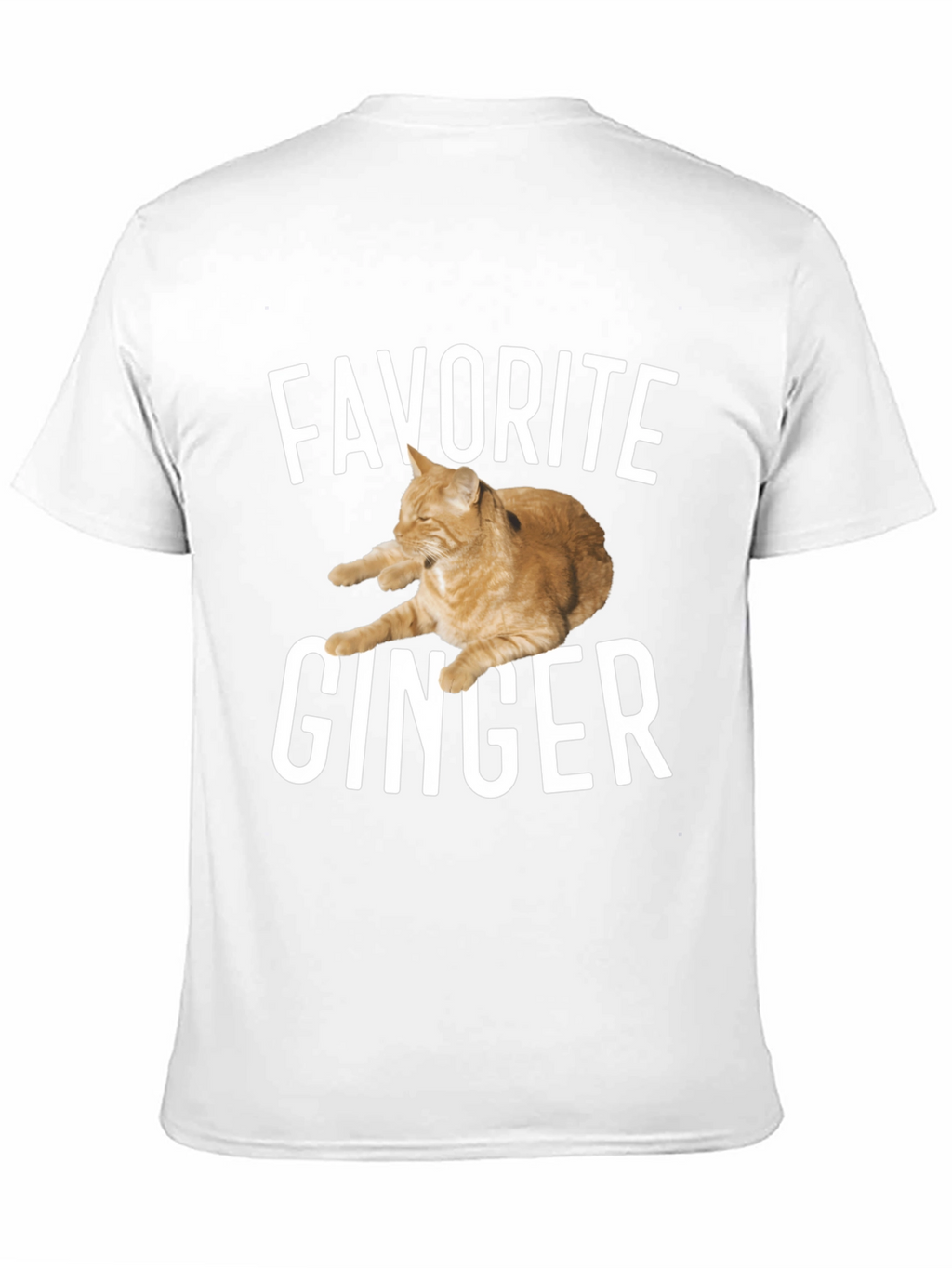 Favorite Ginger Cat Black T-Shirt