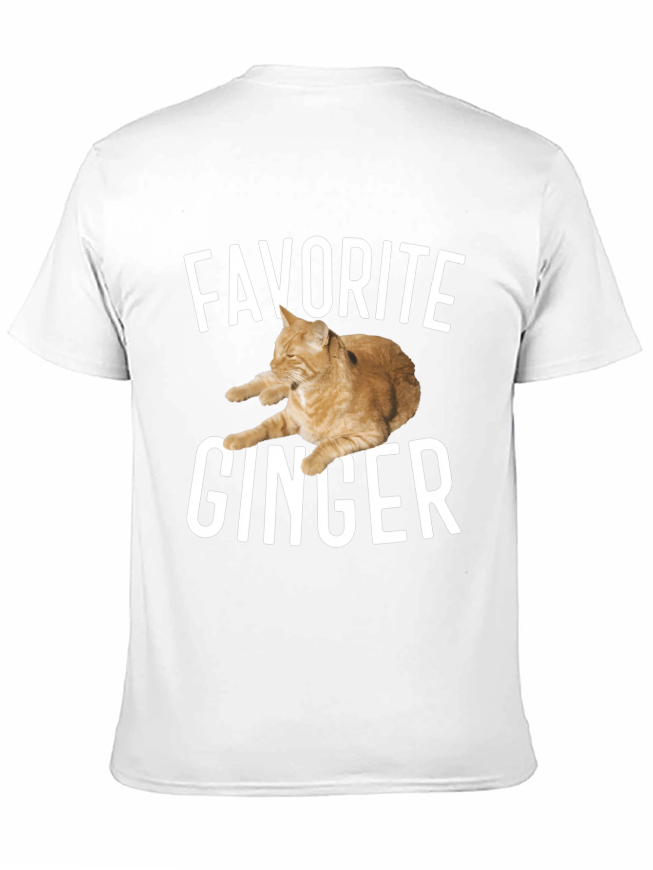 Favorite Ginger Cat Black T-Shirt