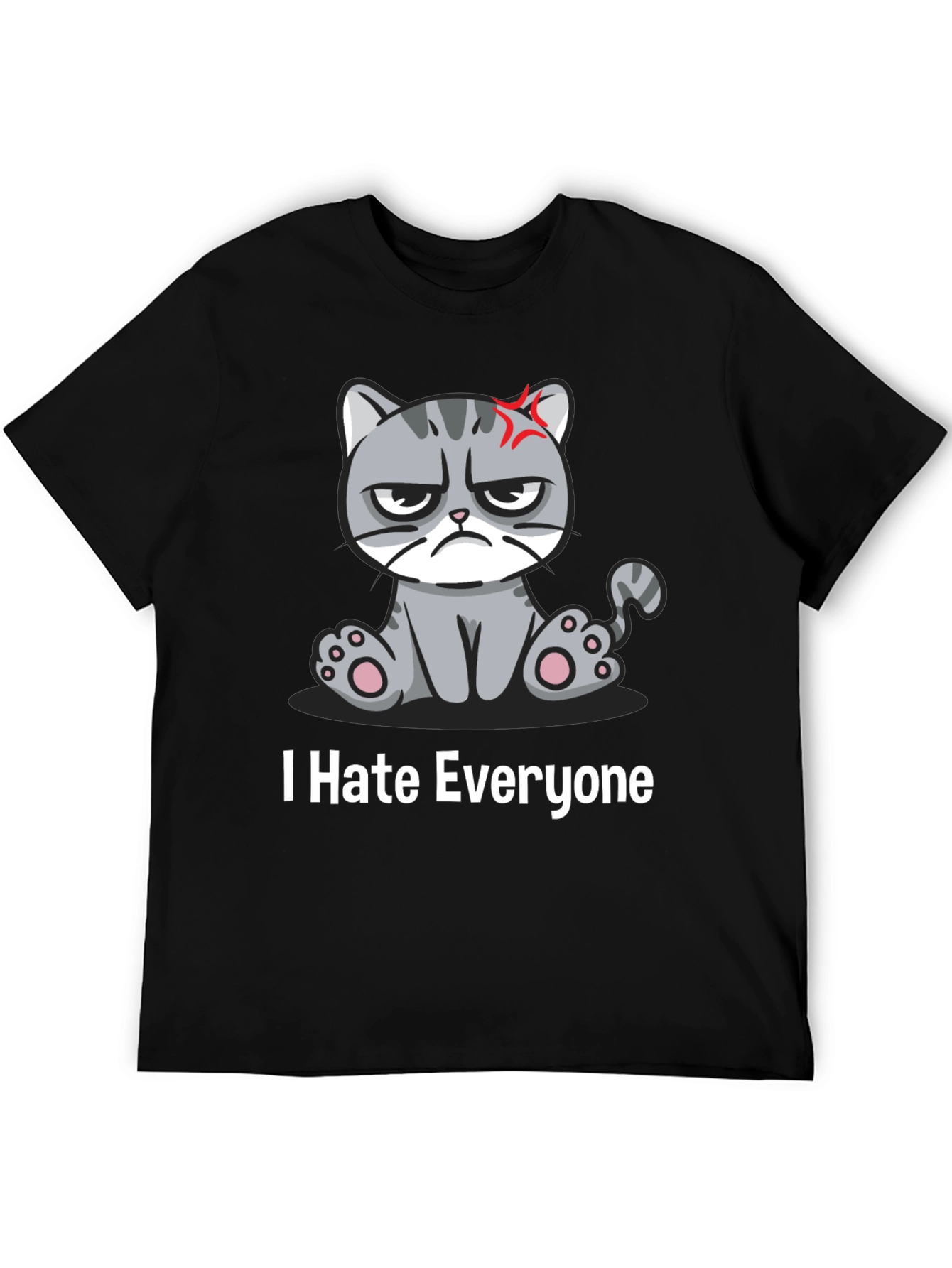 Grumpy Cat I Hate Everyone Black T-Shirt