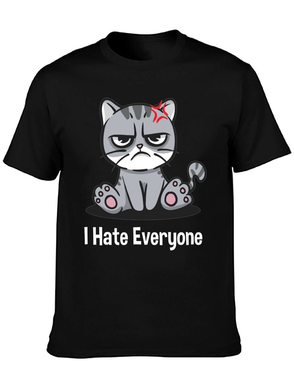 Grumpy Cat I Hate Everyone Black T-Shirt