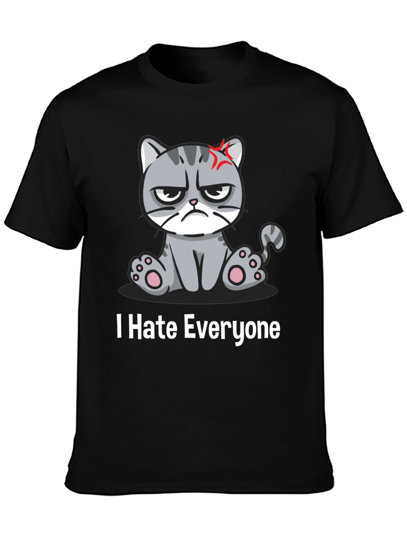 Grumpy Cat I Hate Everyone Black T-Shirt