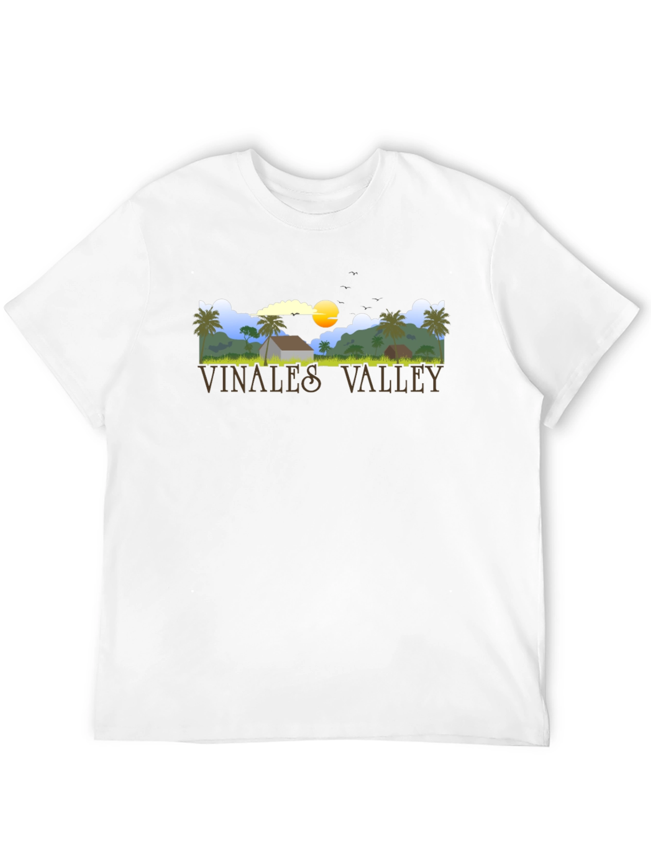 Vinales Valley Graphic Tee - Black Cotton T-Shirt