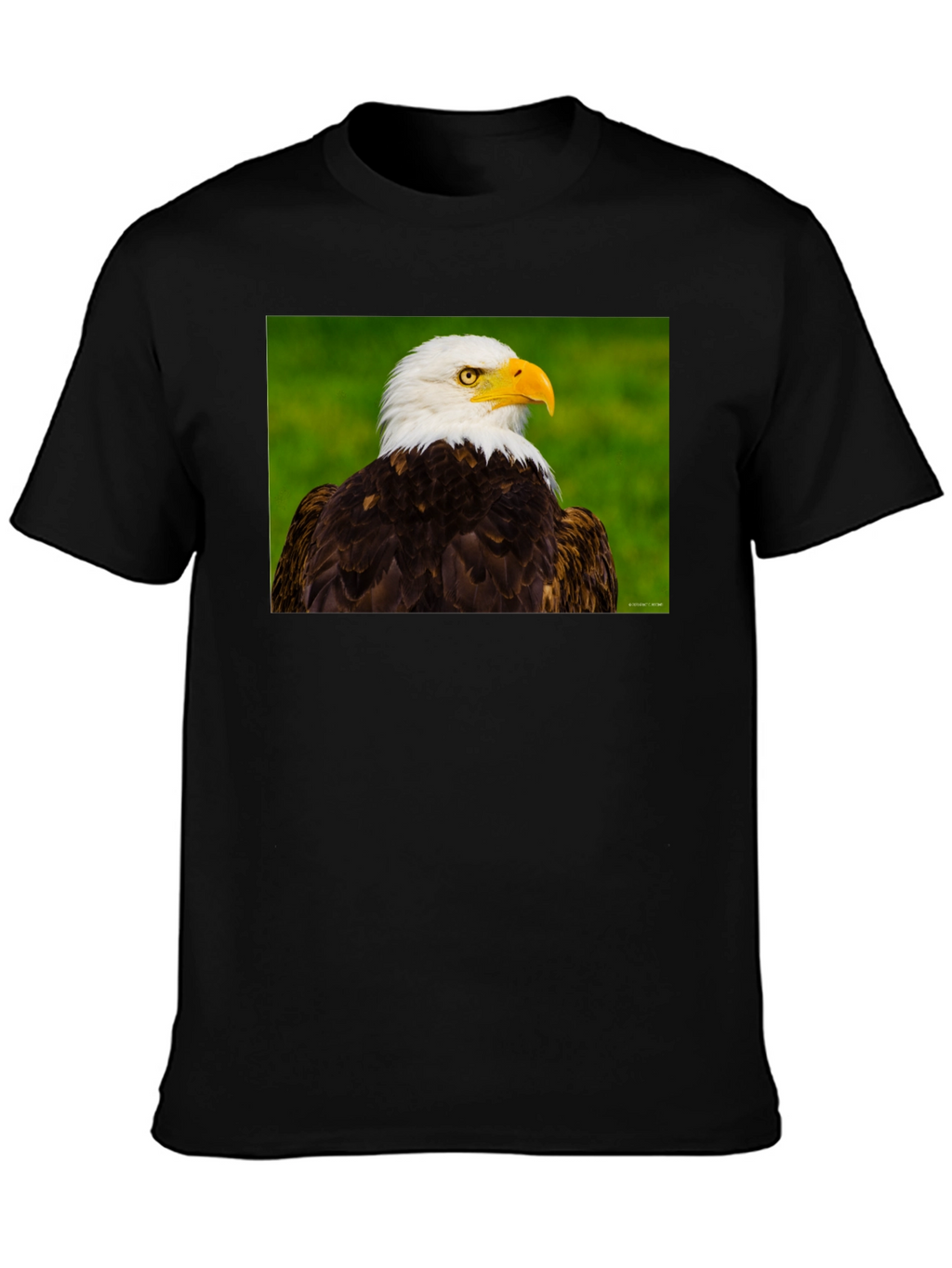 Bald Eagle Graphic Tee - Black Crew Neck