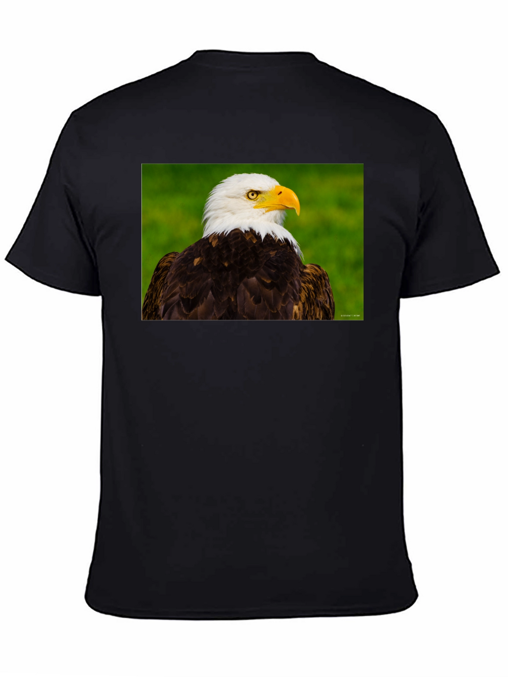 Bald Eagle Graphic Tee - Black Crew Neck