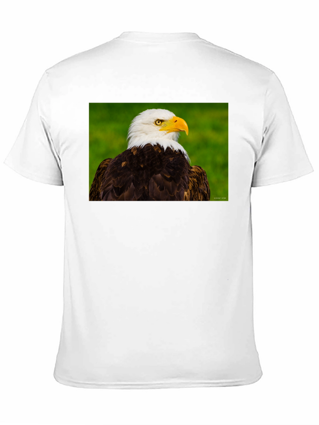 Bald Eagle Graphic Tee - Black Crew Neck