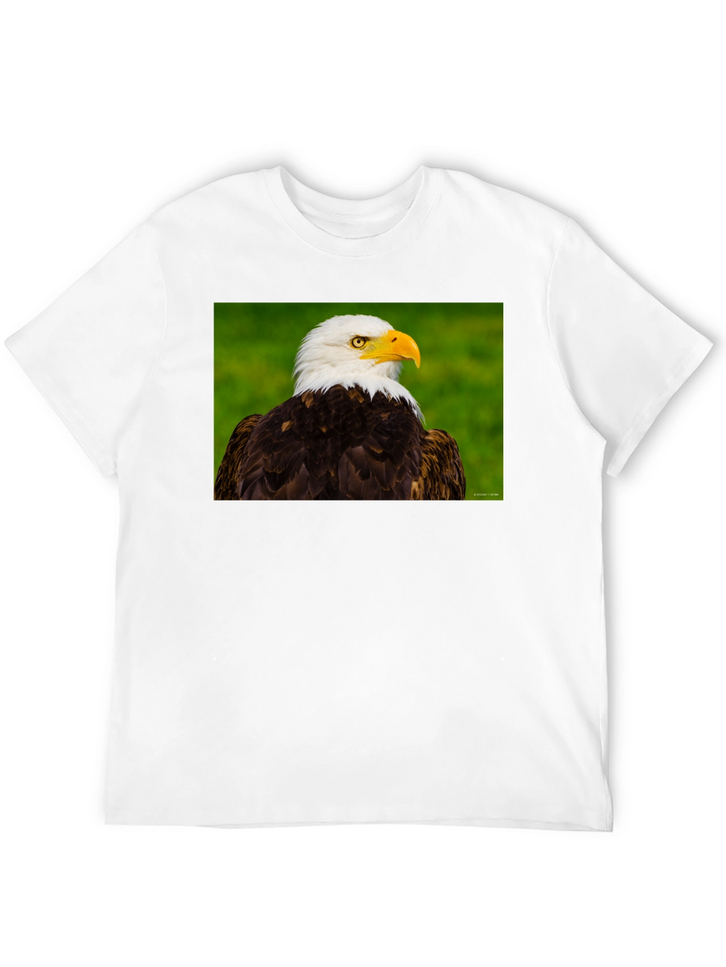 Bald Eagle Graphic Tee - Black Crew Neck