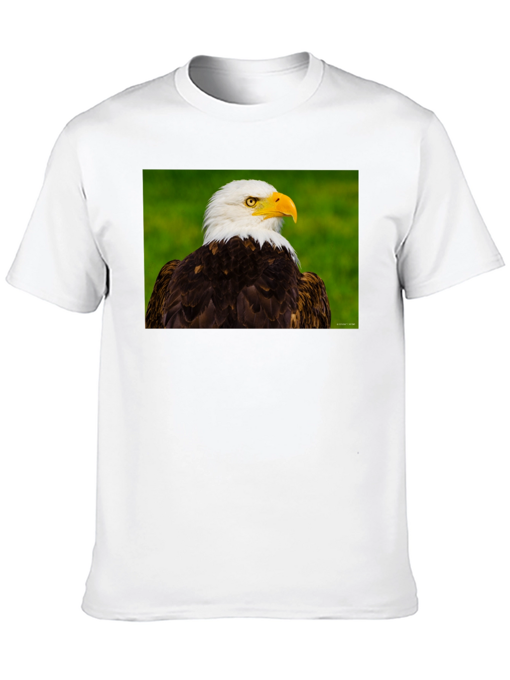 Bald Eagle Graphic Tee - Black Crew Neck