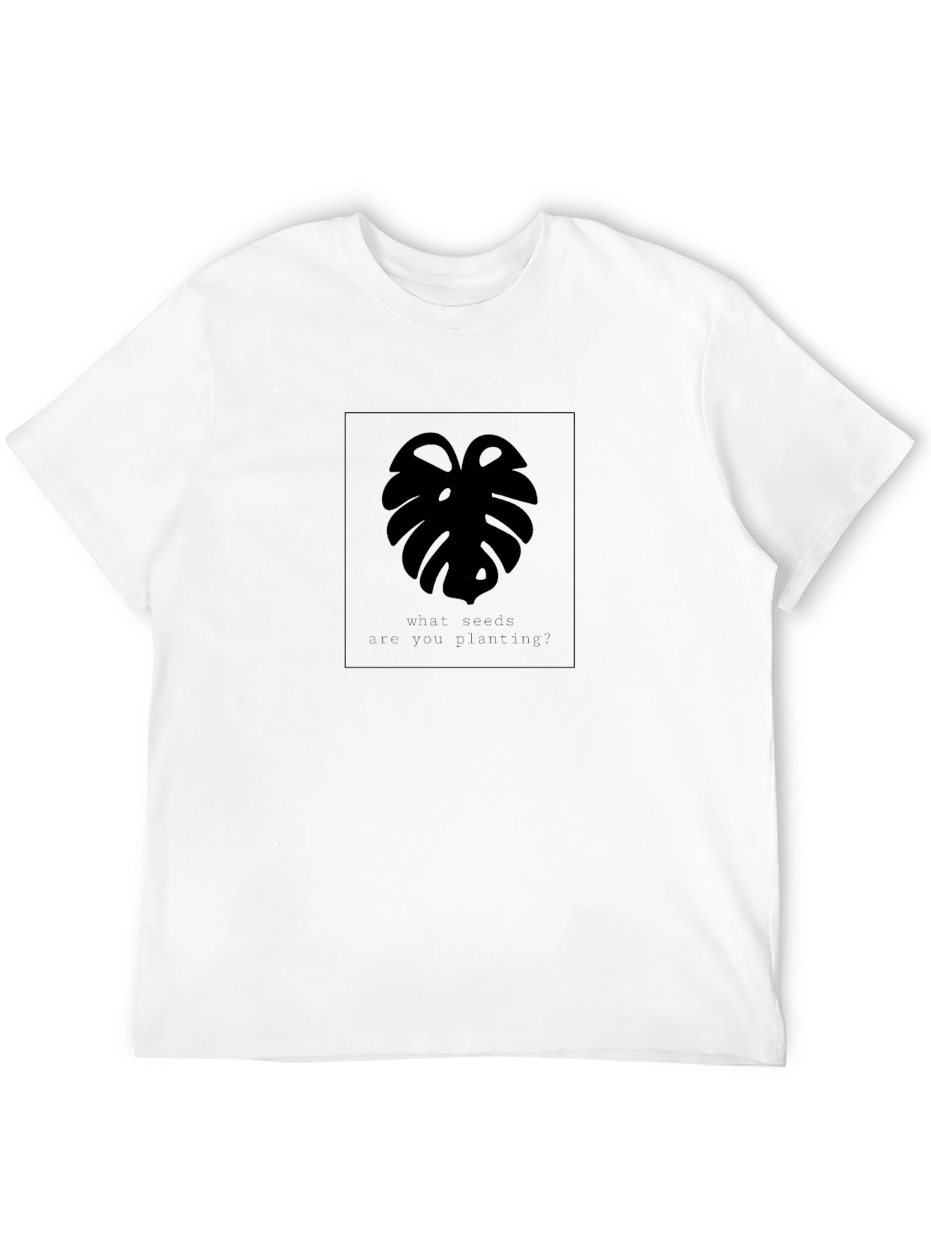 Mens Black Monstera Leaf Graphic T-Shirt