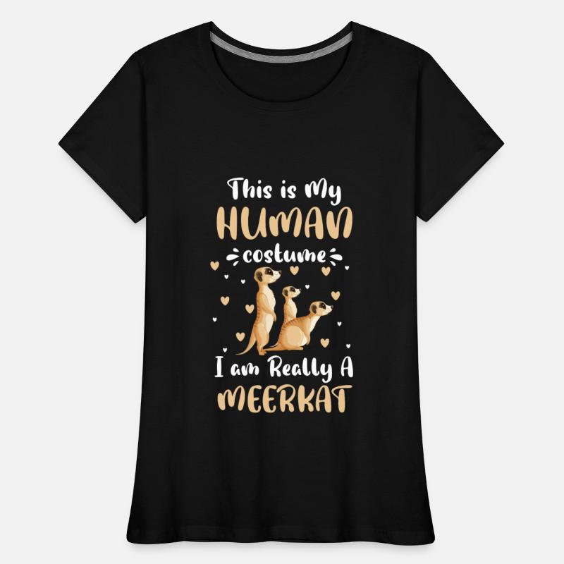 Africa Animals Zoo Animal Rock