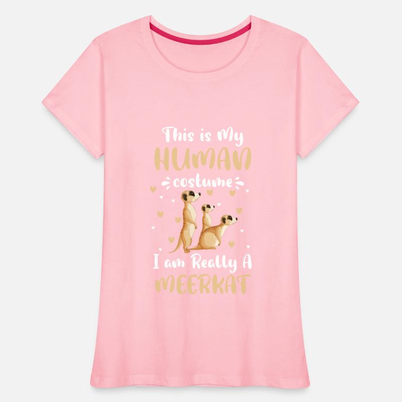 Africa Animals Zoo Animal Rock