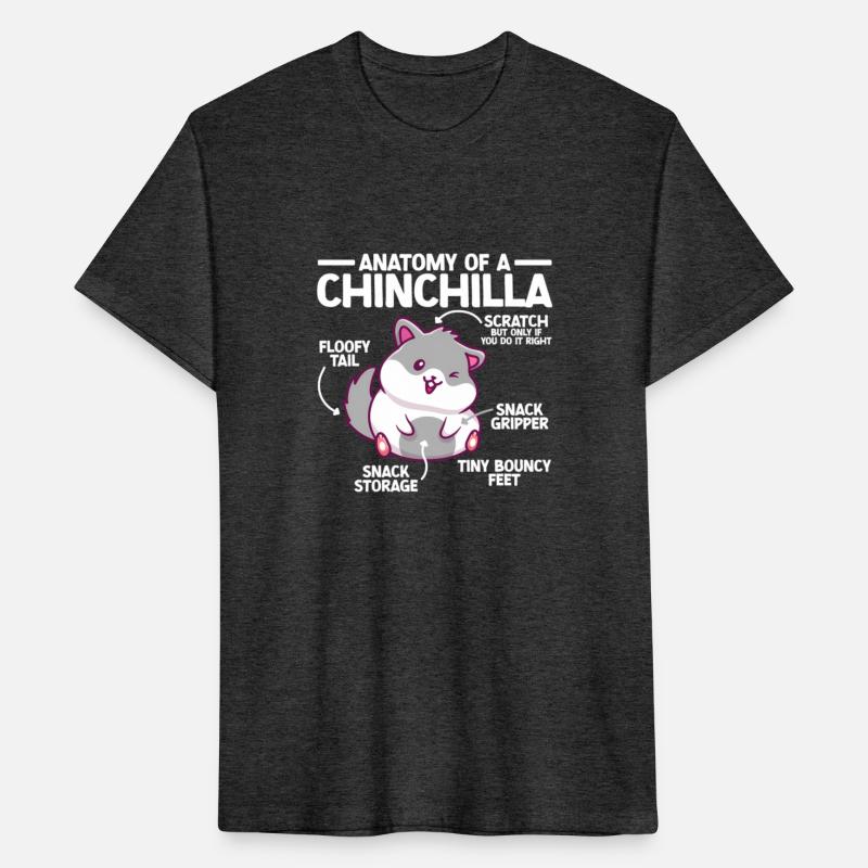 Anatomy Of Chinchilla Chinchilla