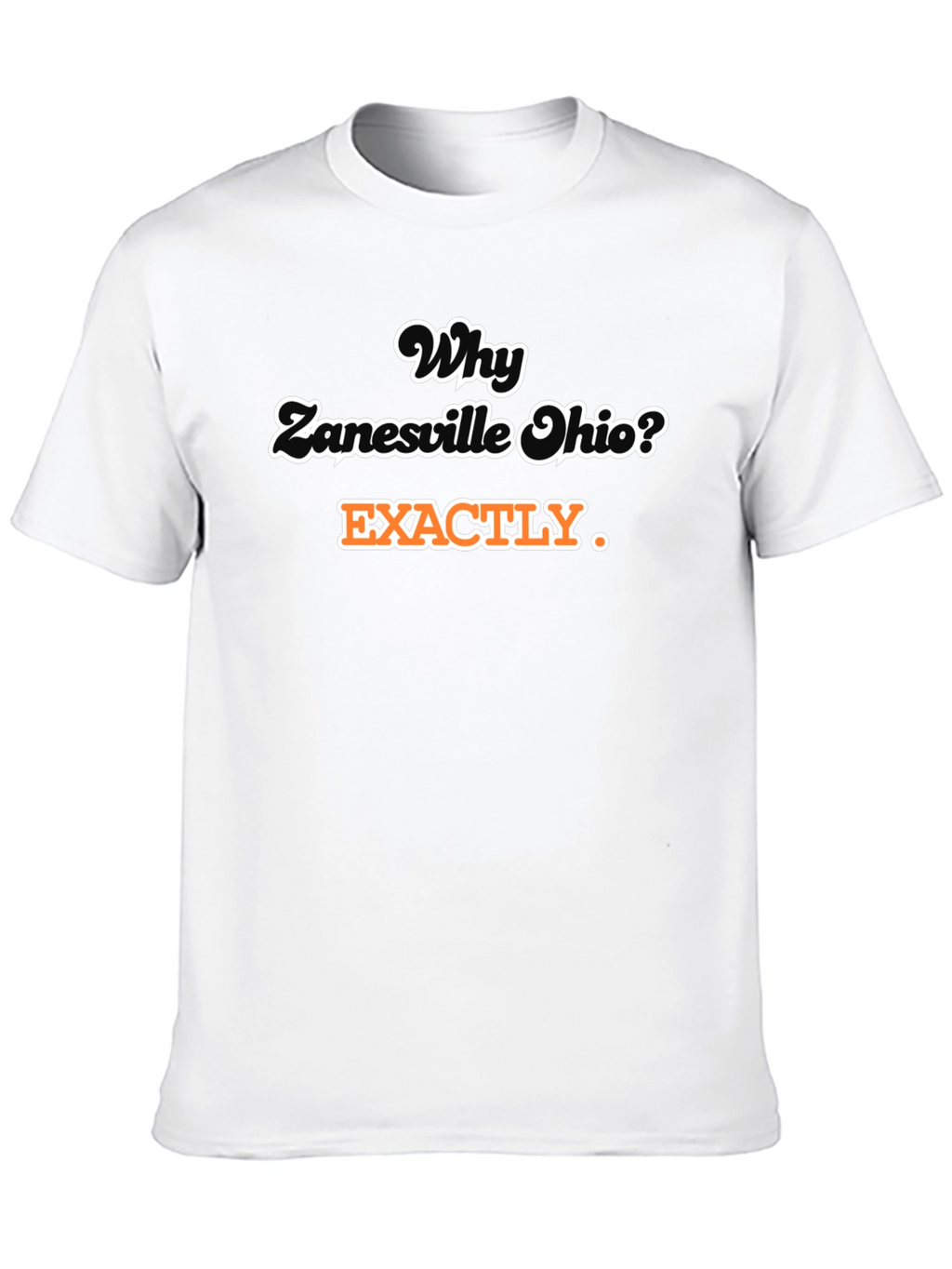 Why Zanesville Ohio? T-Shirt