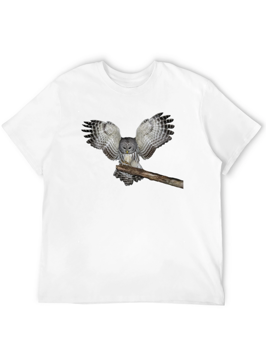 Owl Graphic Print T-Shirt