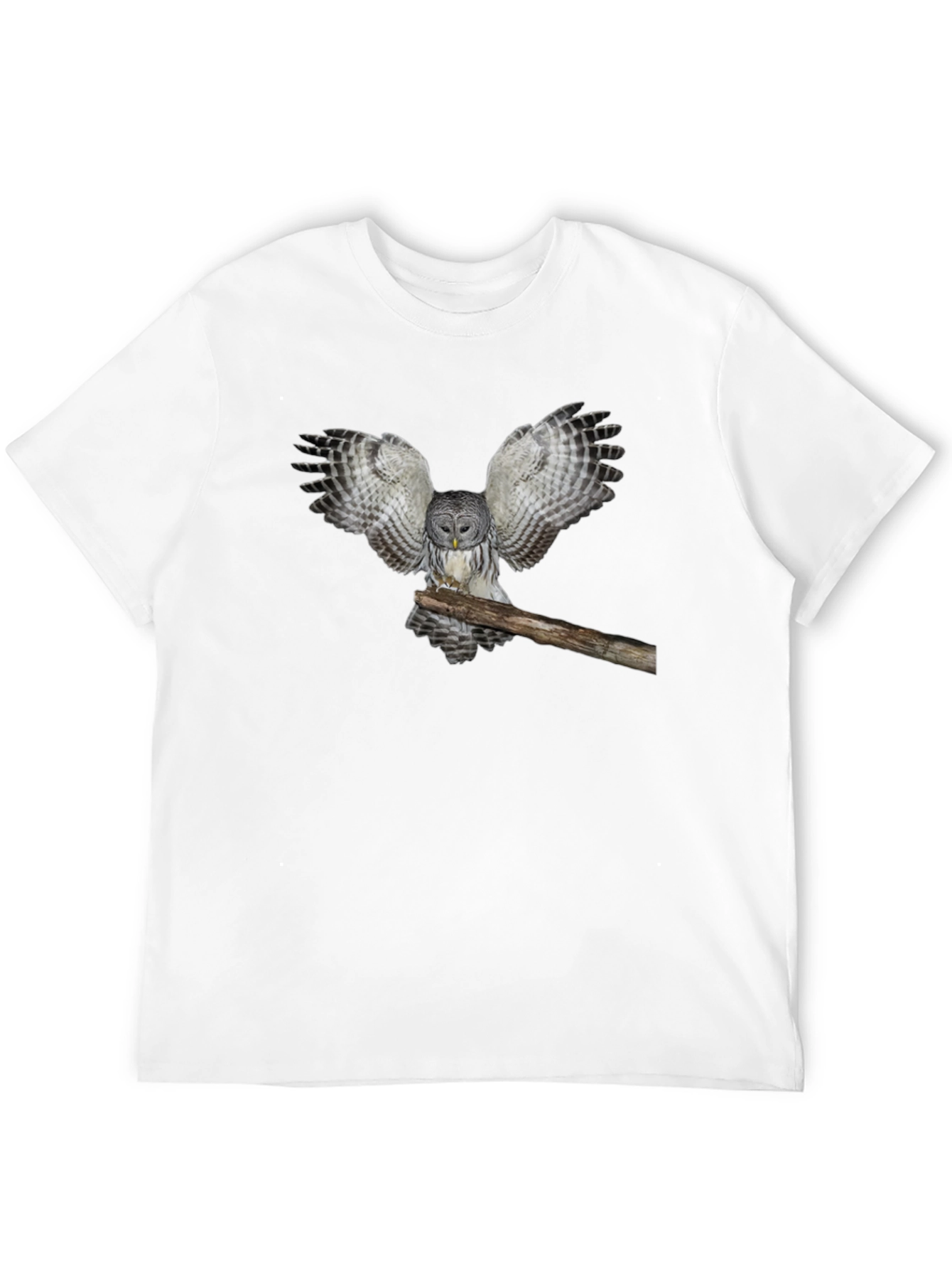 Owl Graphic Print T-Shirt