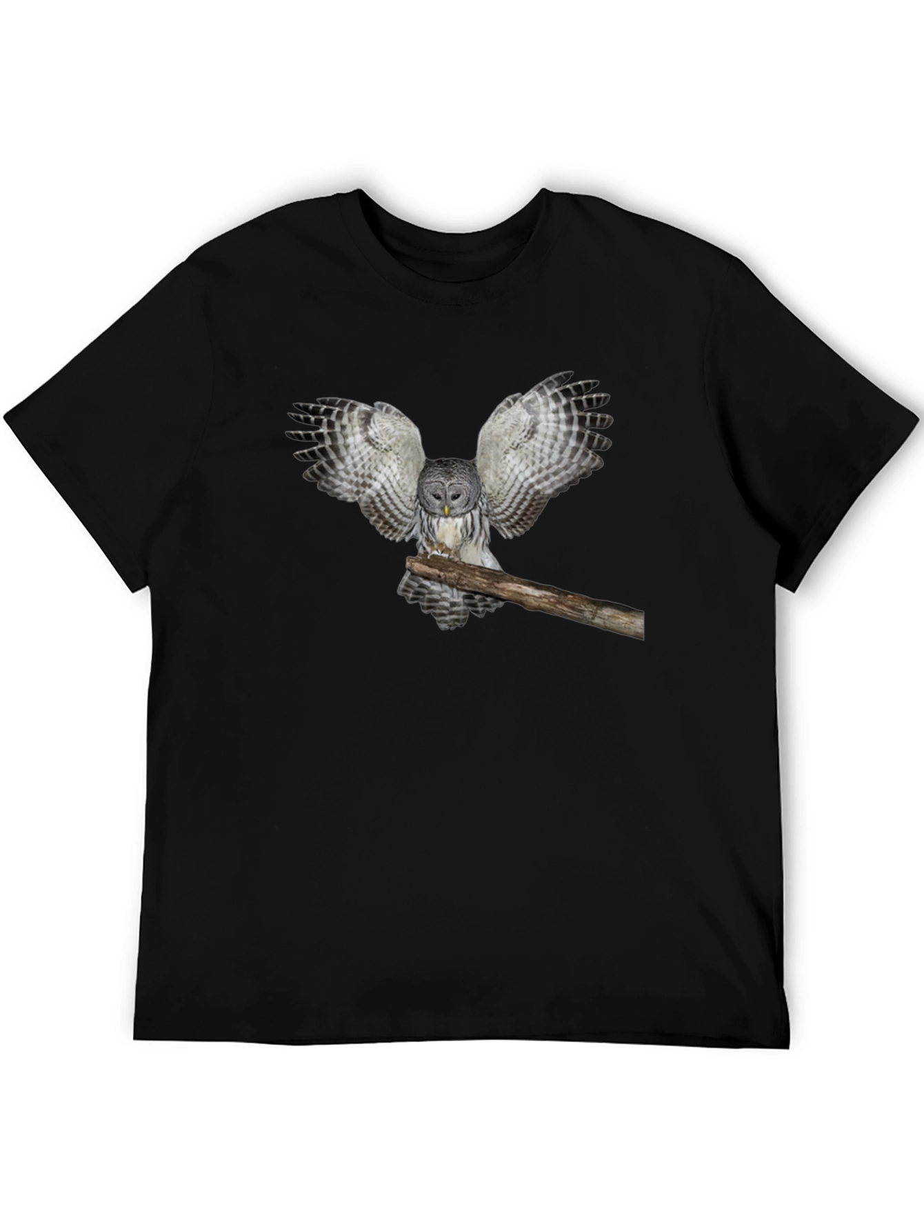 Owl Graphic Print T-Shirt