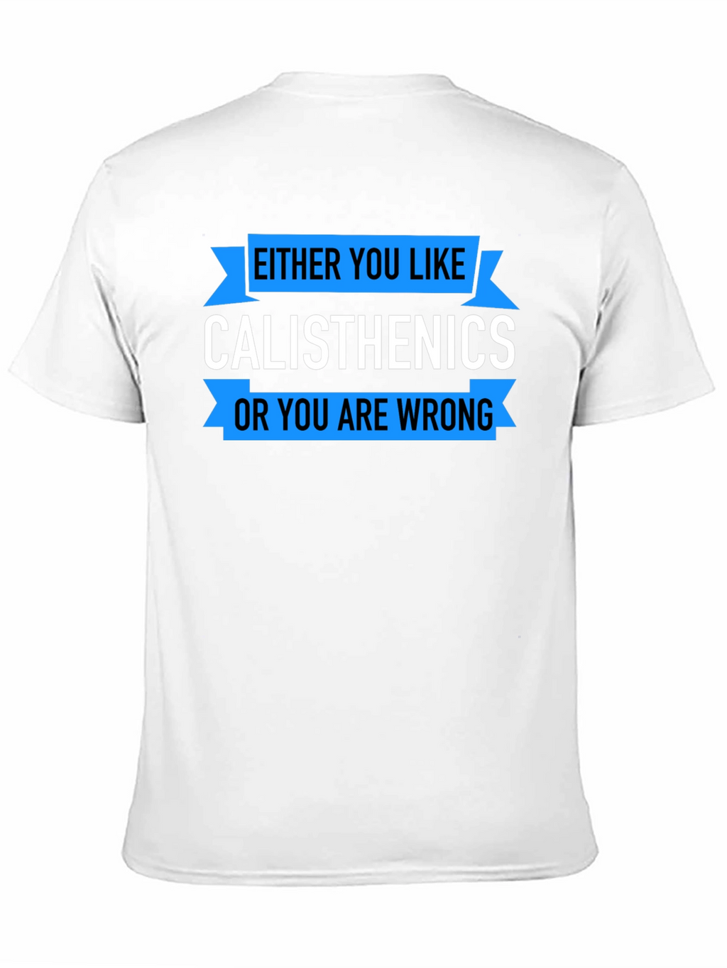 Calisthenics Graphic T-Shirt - Workout Apparel