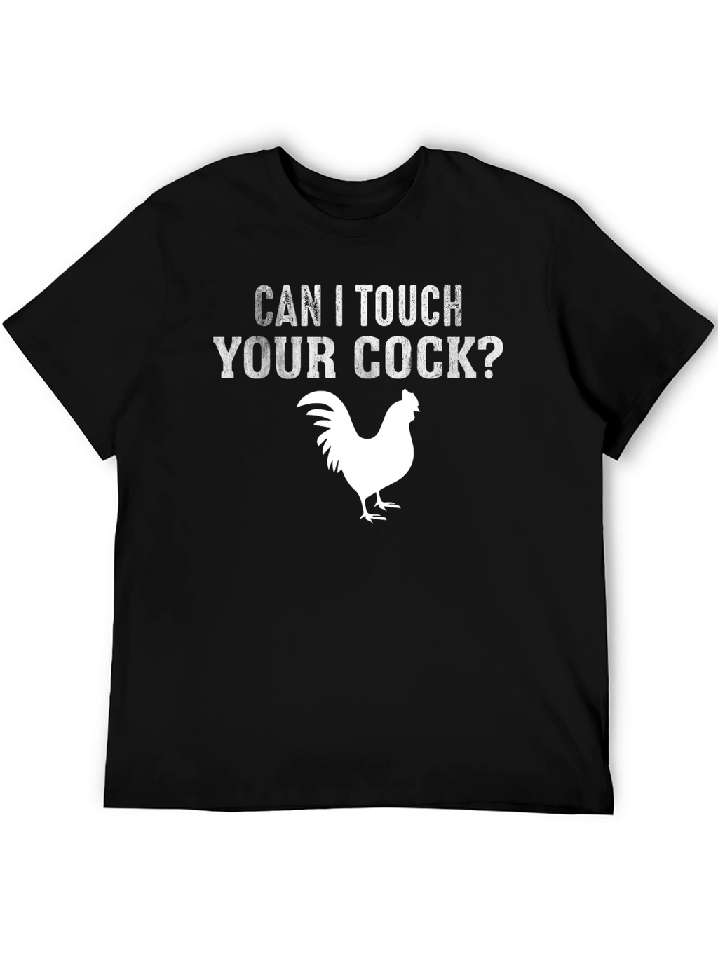 Can I Touch Your Cock? Chicken Graphic T-Shirt