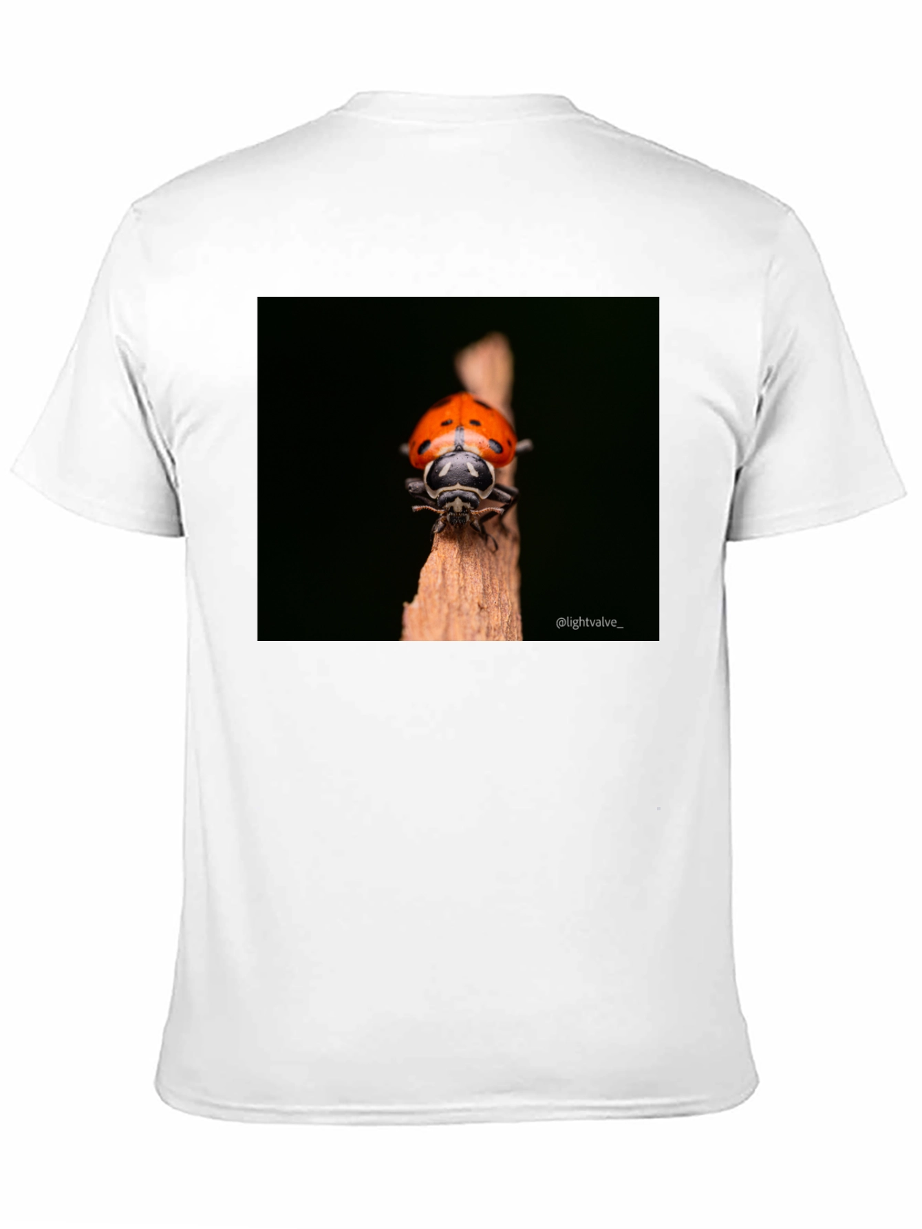 Ladybug Graphic Tee - Black Cotton T-Shirt