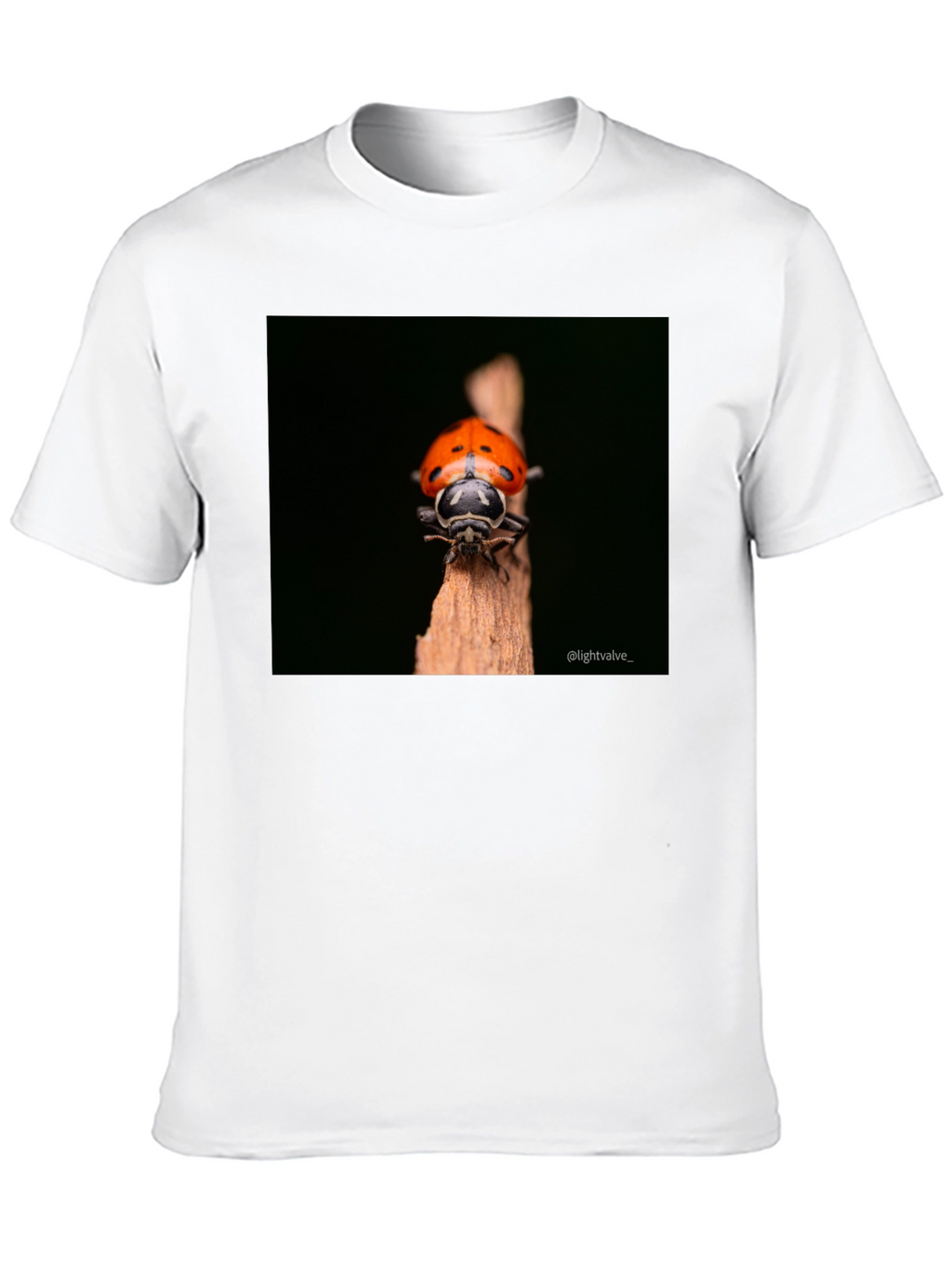 Ladybug Graphic Tee - Black Cotton T-Shirt
