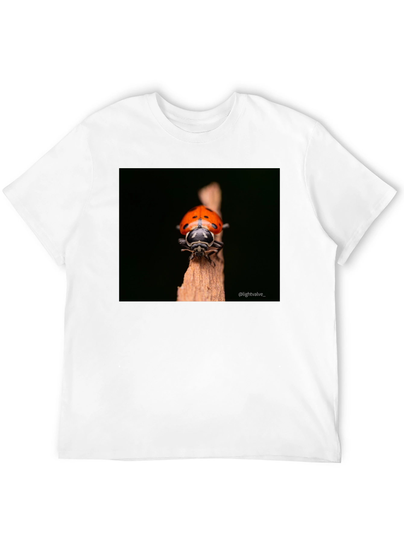 Ladybug Graphic Tee - Black Cotton T-Shirt