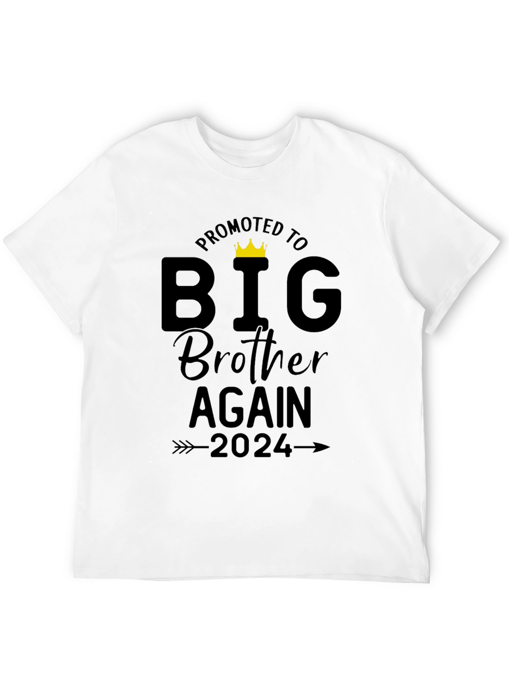 Promoted to Big Brother Again 2024 T-Shirt