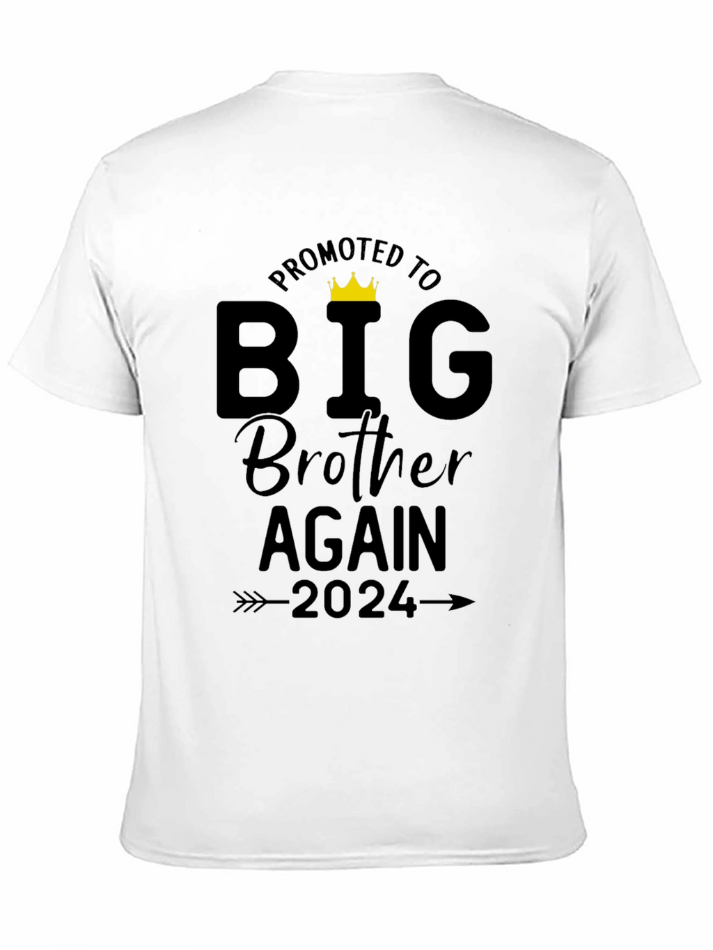 Promoted to Big Brother Again 2024 T-Shirt