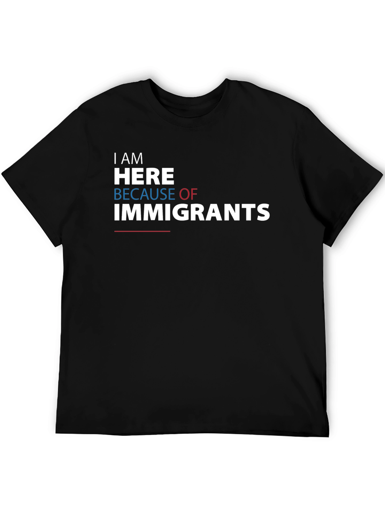 I Am Here Because of Immigrants Graphic Tee