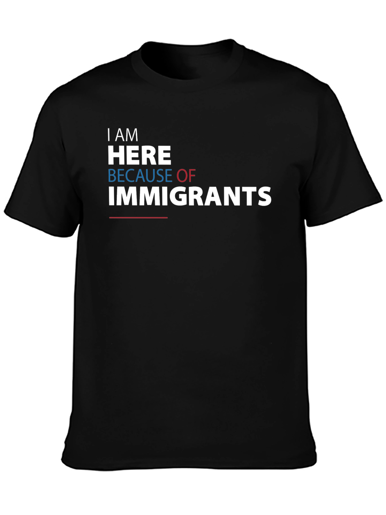 I Am Here Because of Immigrants Graphic Tee