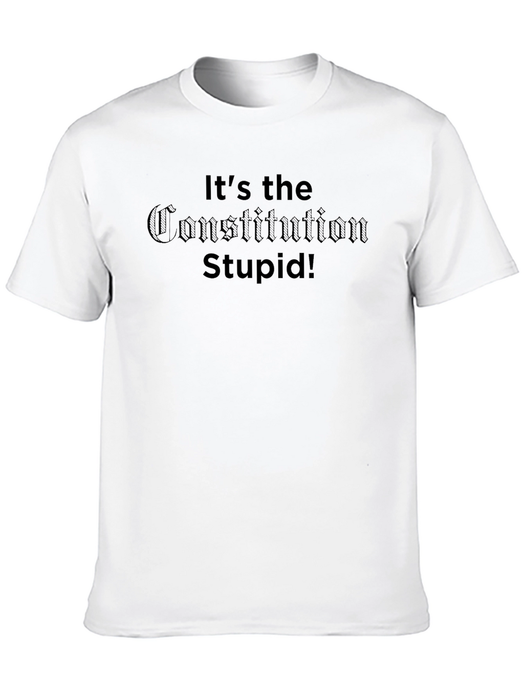 Its The Constitution Stupid! Graphic T-Shirt