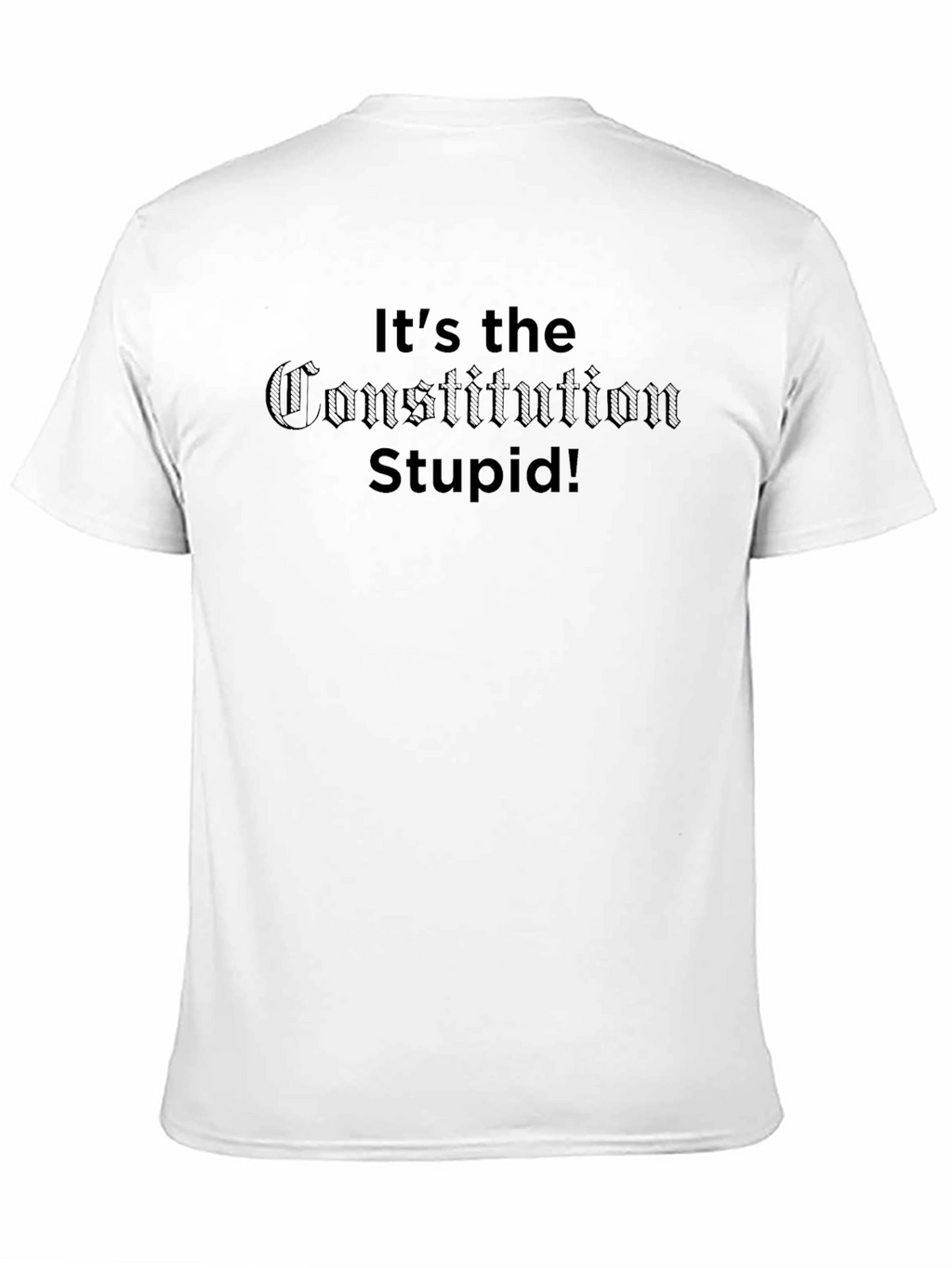 Its The Constitution Stupid! Graphic T-Shirt